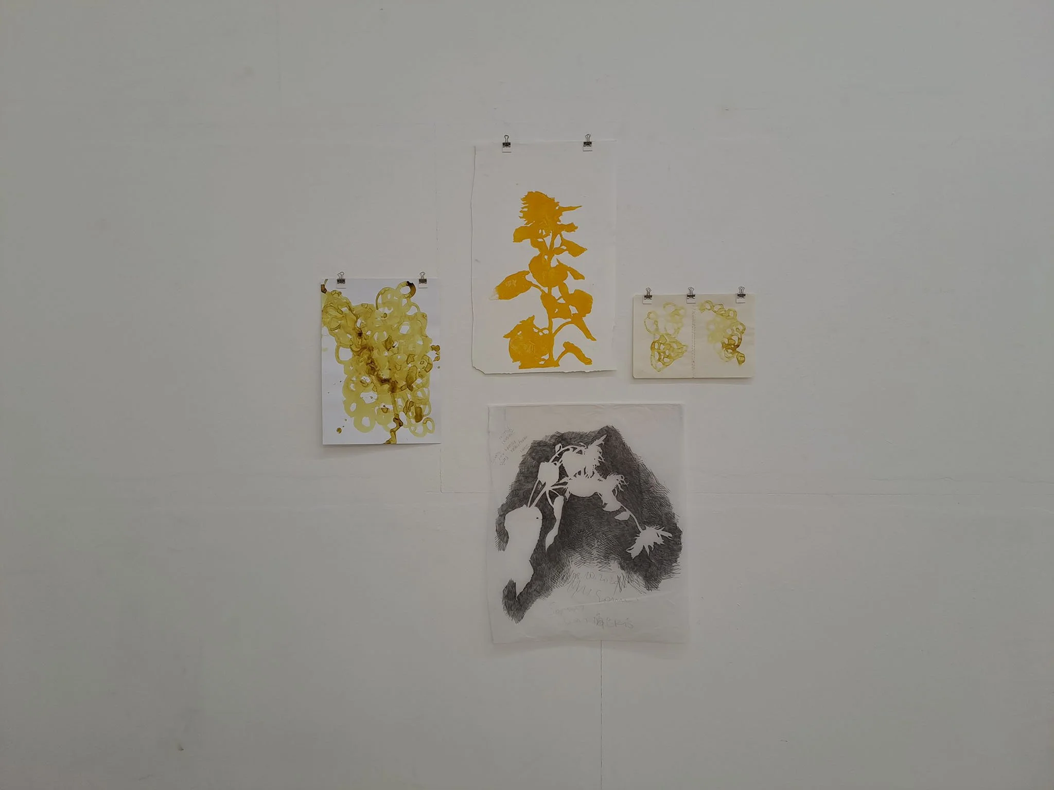 2024_Licht/Sonnenblumenzeichnungen, Kunstwerkstatt, Tulln