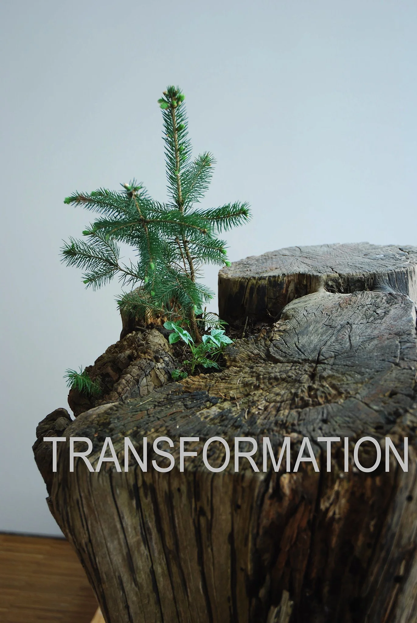 TRANSFORMATION   urgrund mutter DSC_0016 (2) copy.jpg