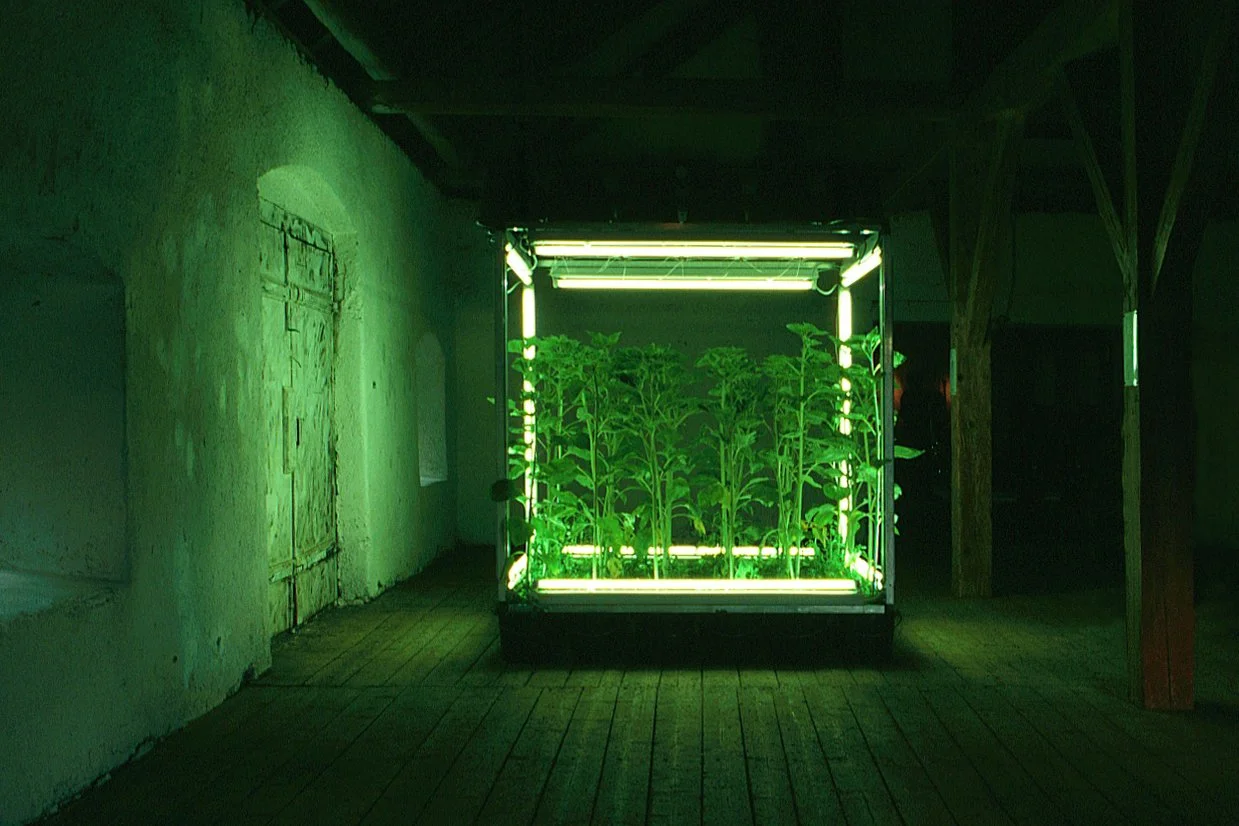 1998_zwoelf, Symposium Schrattenberg, Schrattenberg bei Scheifling