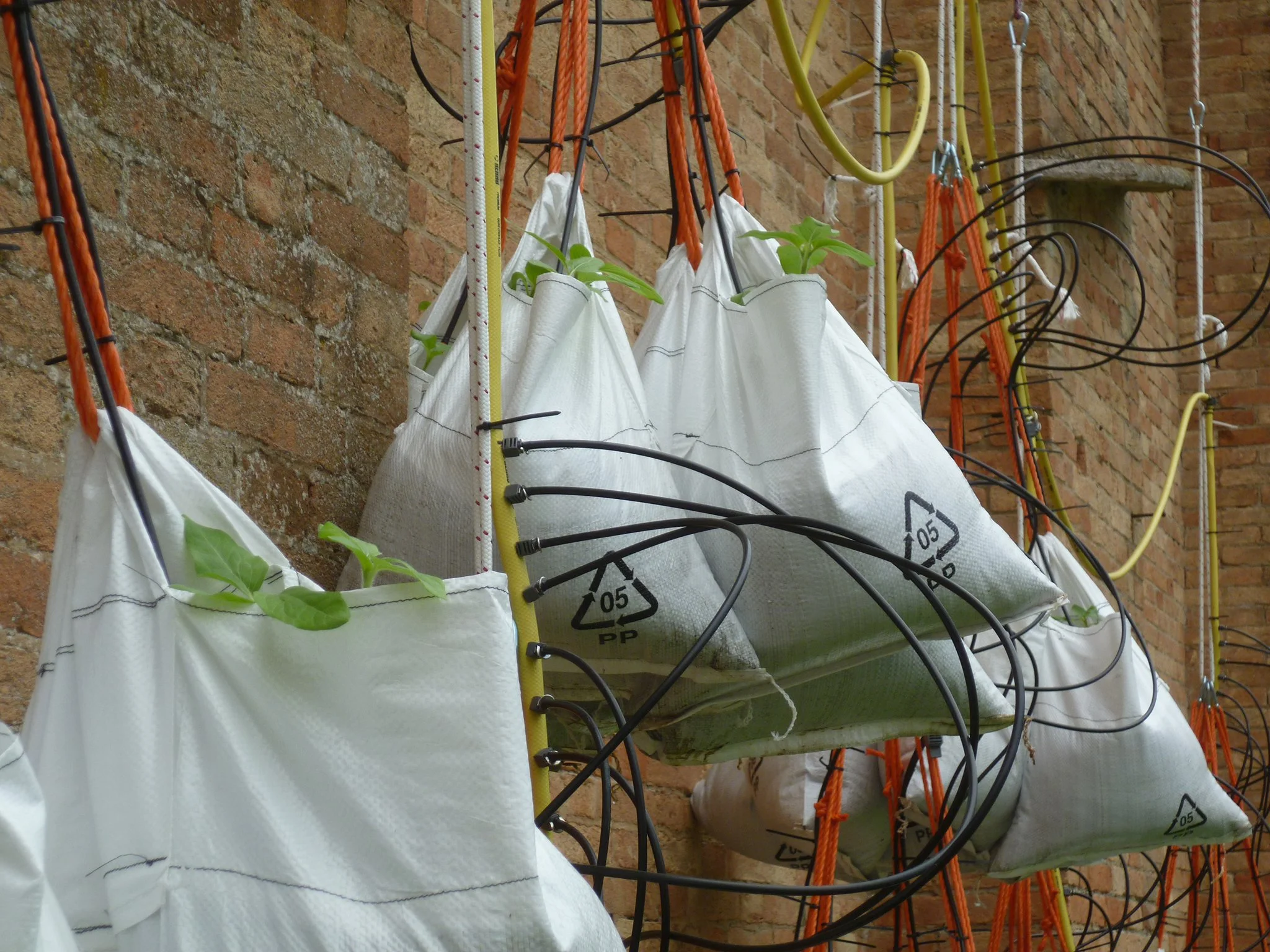 2011_round the clock, Biennale, Venedig