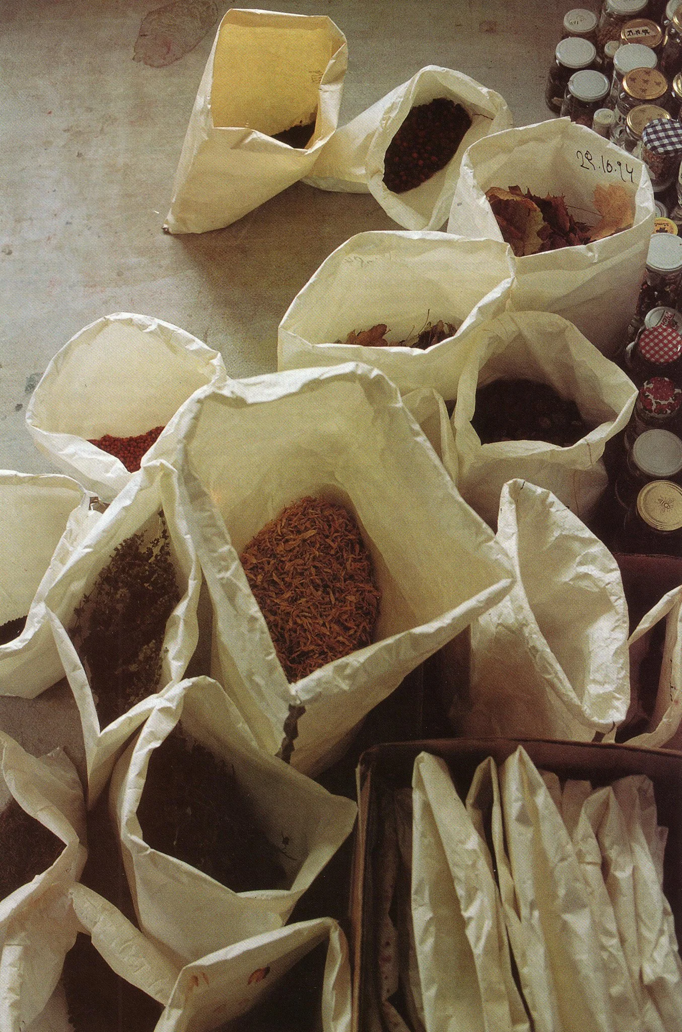 1995_365 Tage, Studio, Radstadt