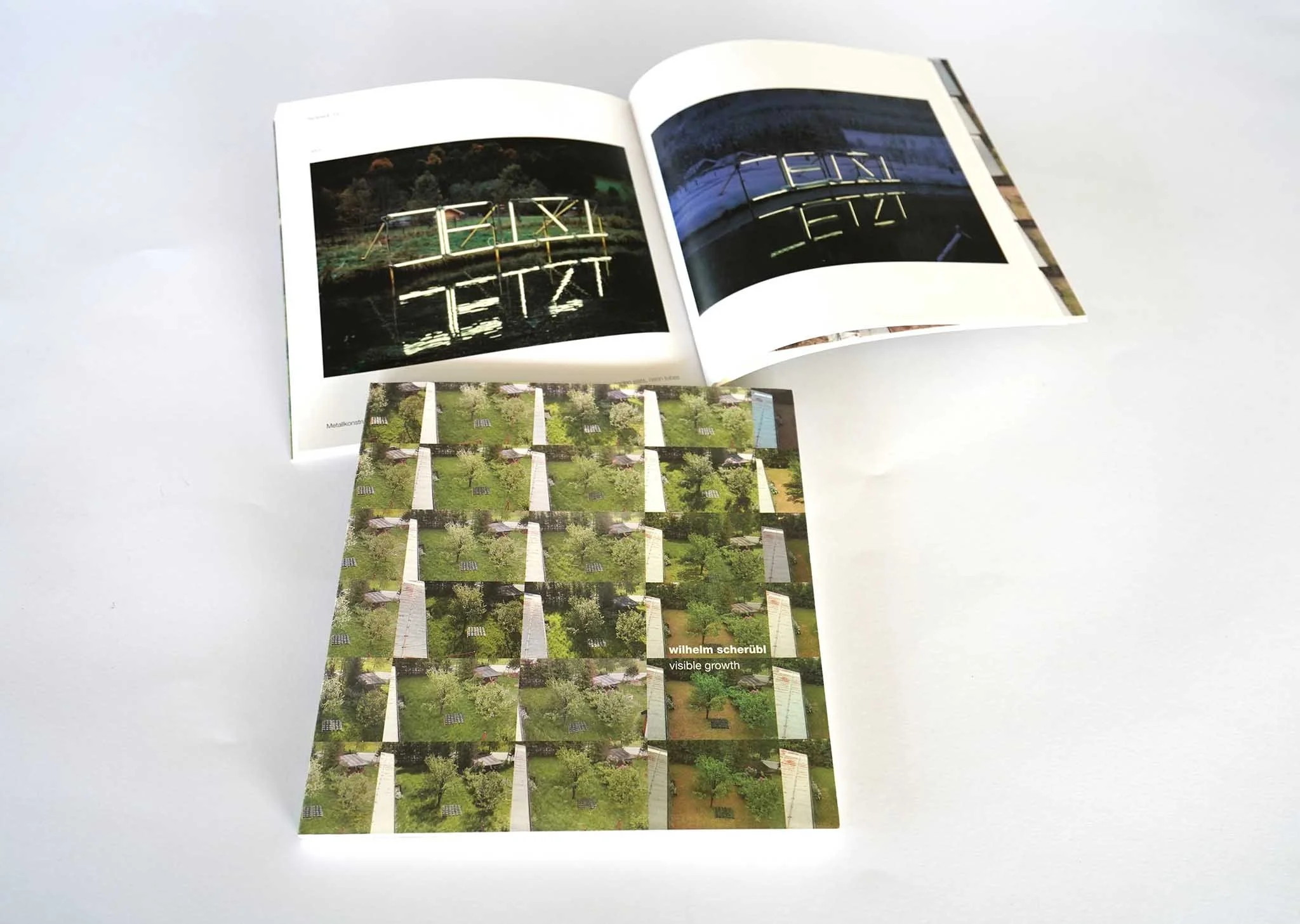 2004_visible growth, Wilhelm Scheruebl, Oberösterreichische Landesgalerie, Galerie im Traklhaus