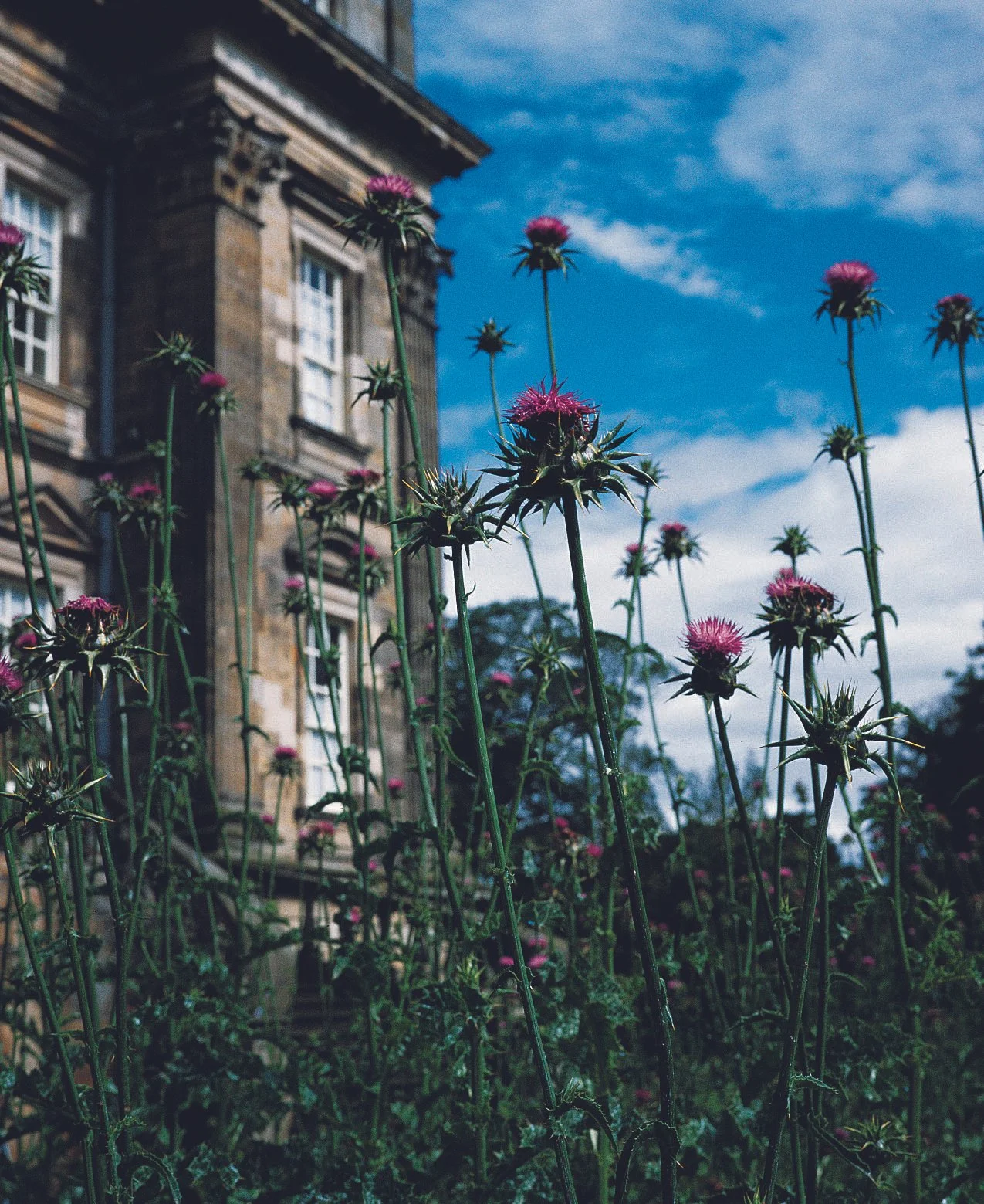 2000_zero, Duffhouse, Schottland