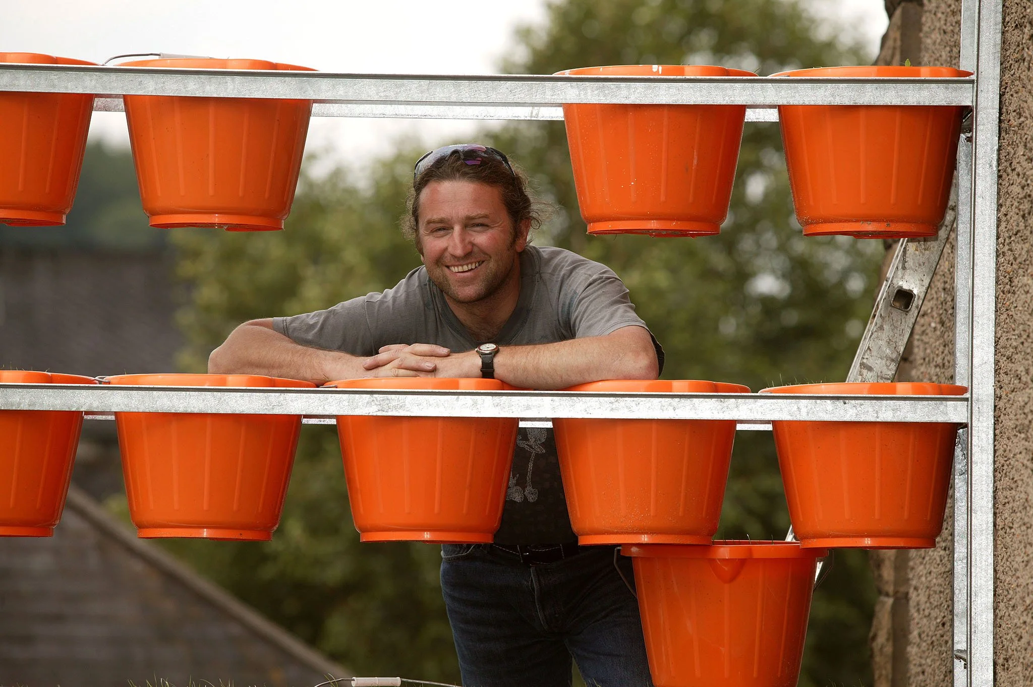 2004_hanging growth, Dufftown, Schottland
