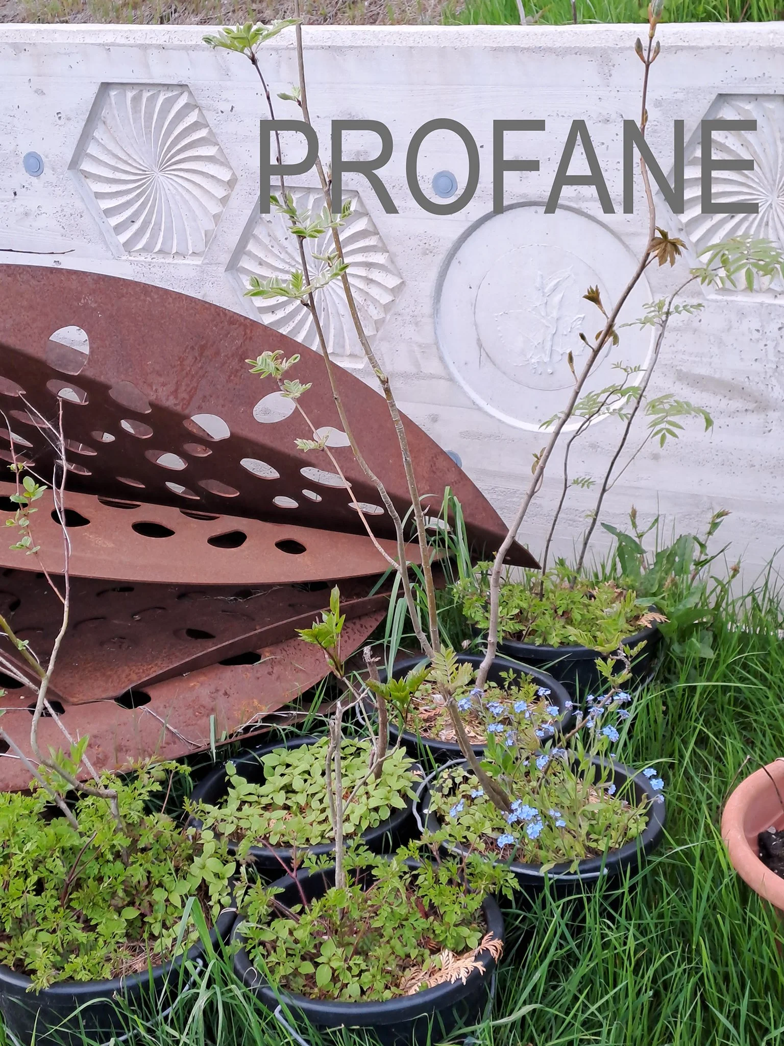 PROFANE 2023-05-22 19.26.46 copy.jpg