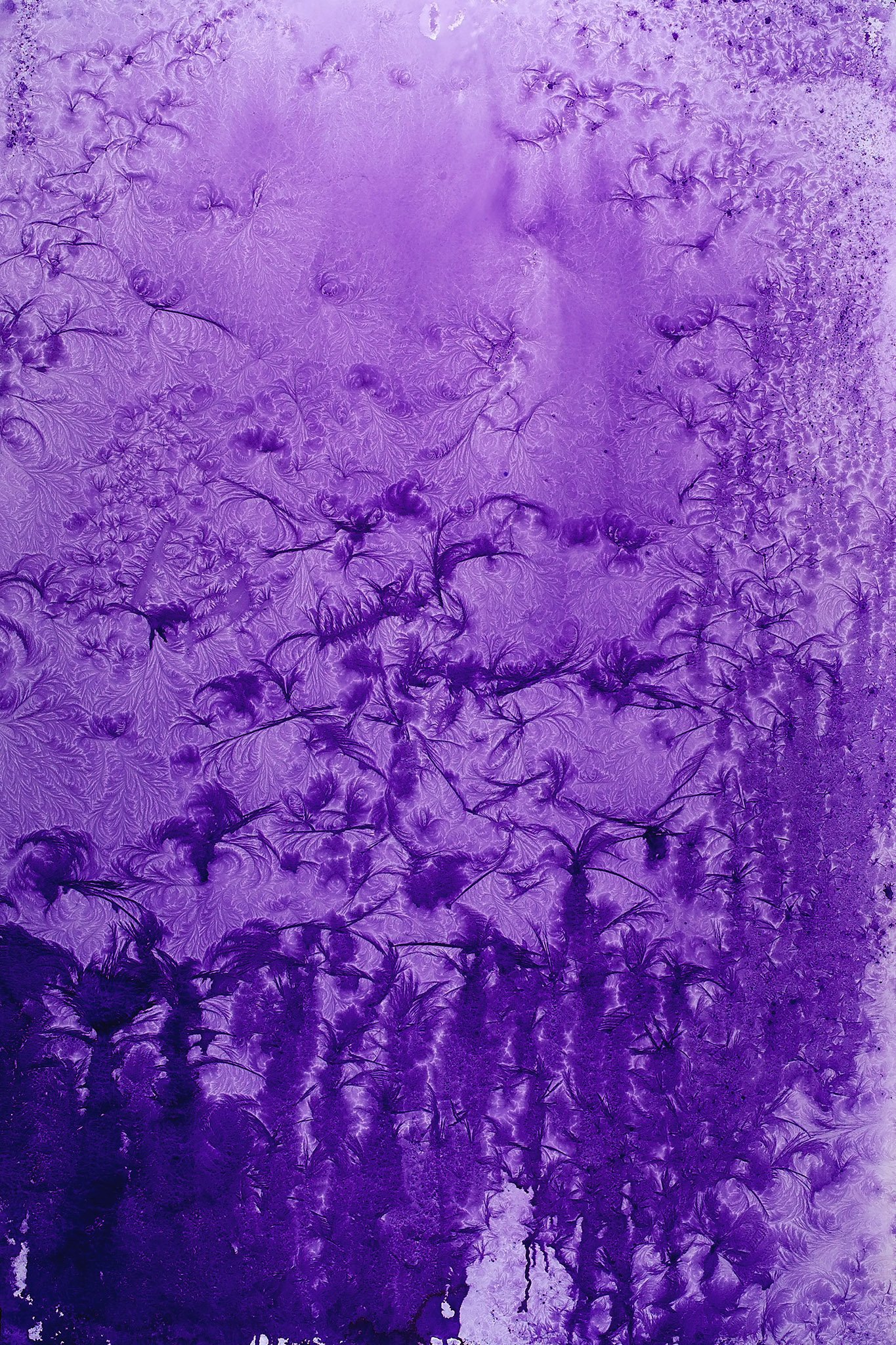 2007_ Minusaquarell violett, 150 x 100 cm, Aquarell auf Papier 