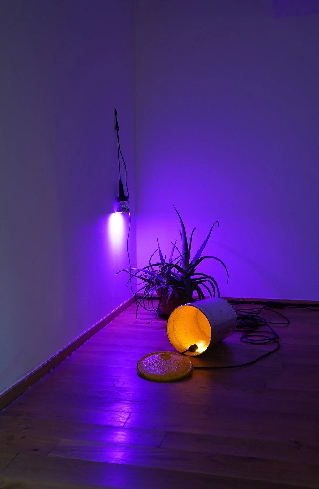 2025_vom Werden, vom Gewordenen und vom Sein, KUNST_Zelle, Zell am See, 