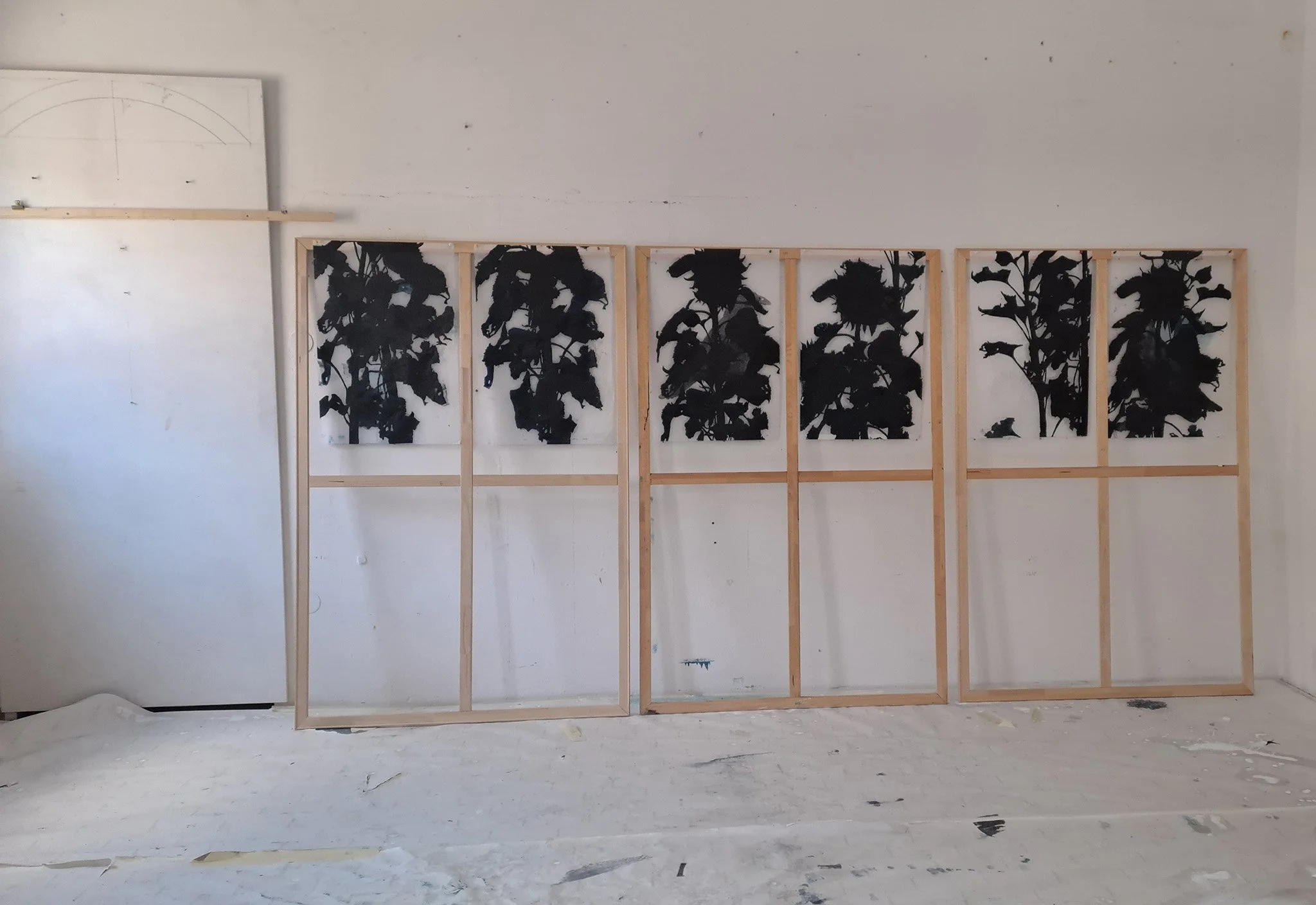 2025_Random Serie/Helianthus, Studio, Radstadt