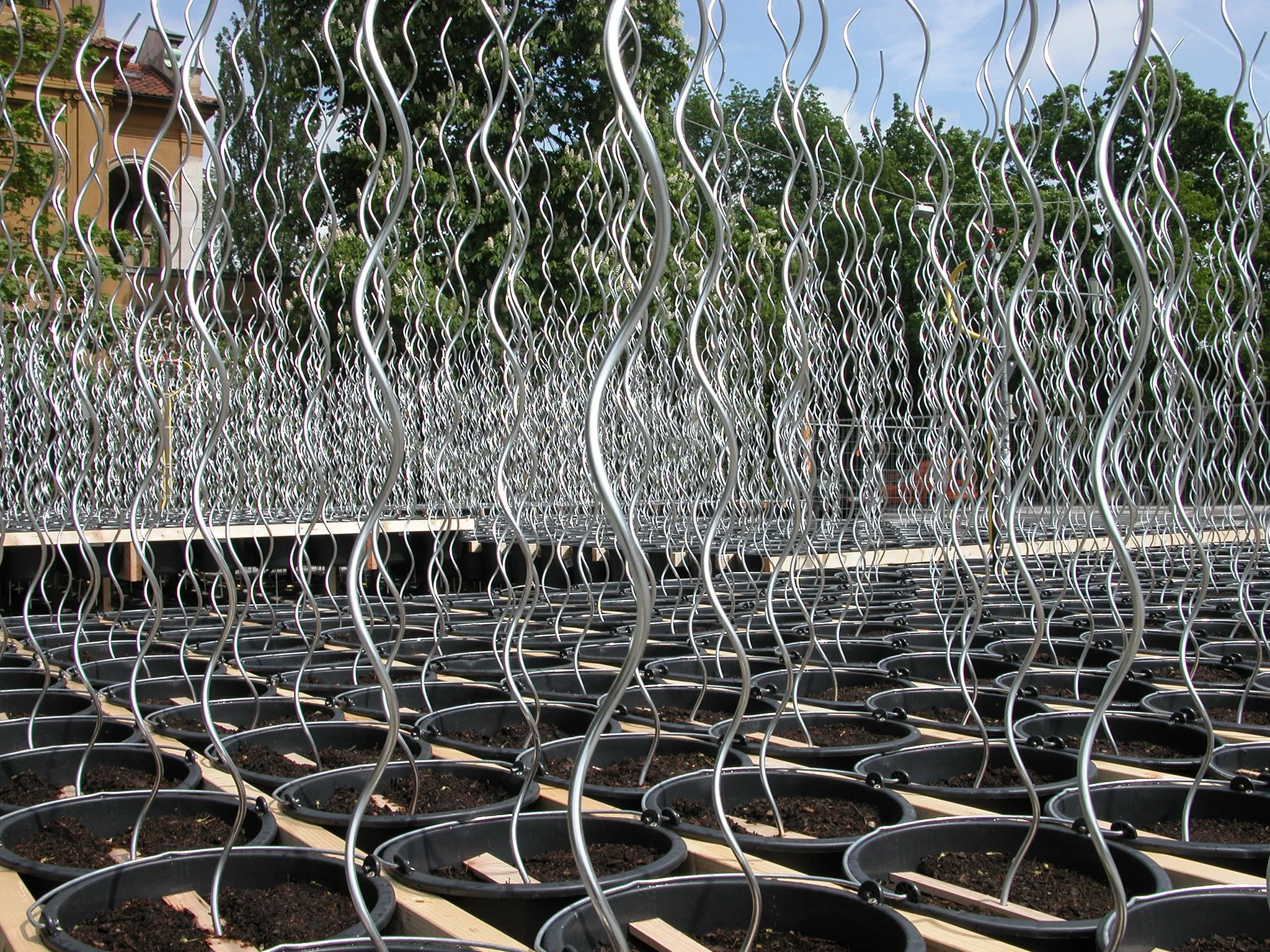 2005_Sonnenblumenfelder, Lenbachhaus, München