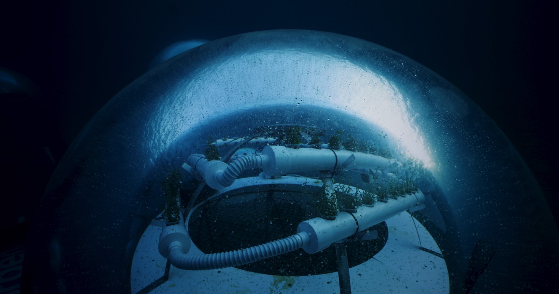 SILENT_INVASION_FULLHD_PRORESS_422HQ 3 (1-09-41-20).jpg