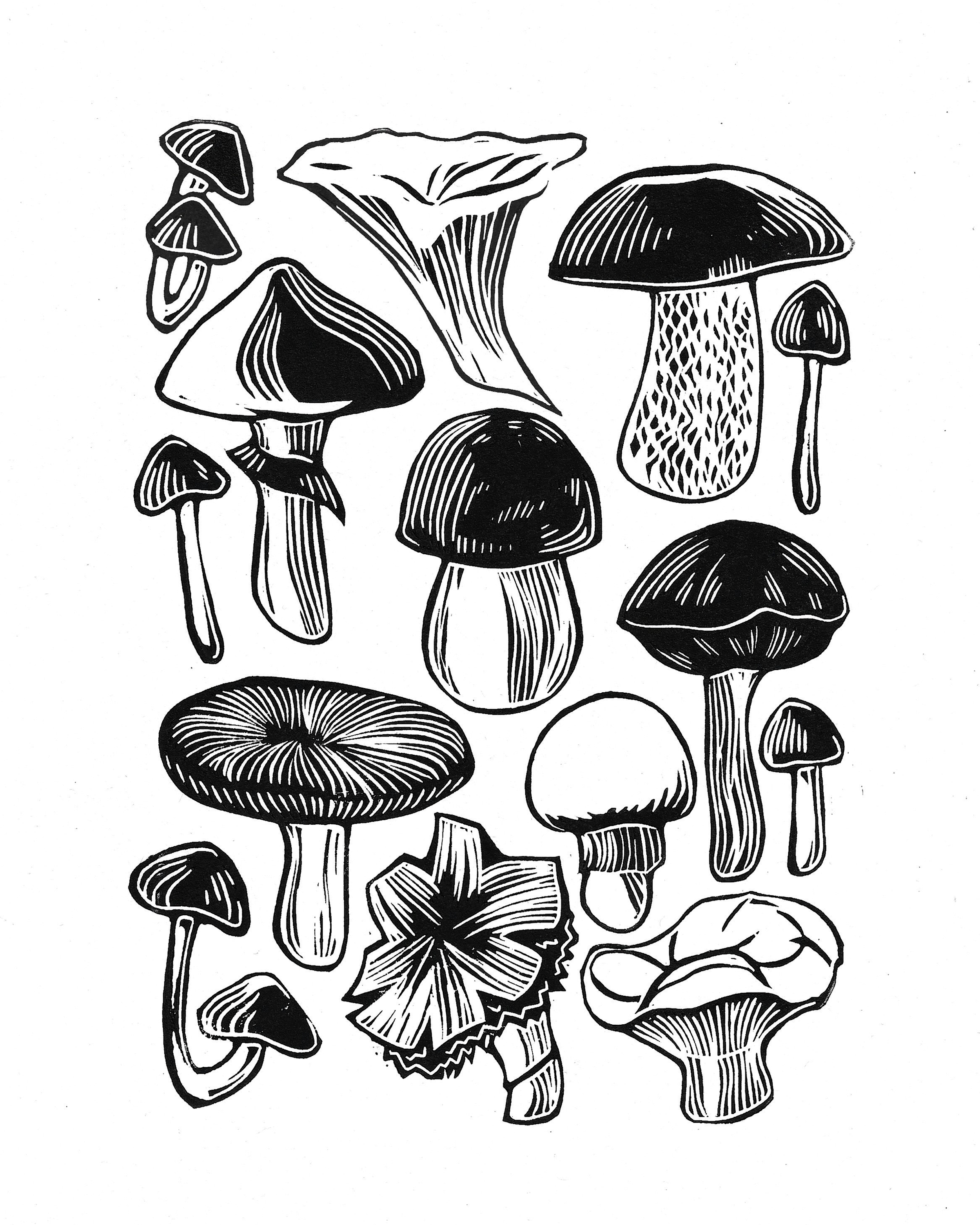 2025-04-25_171045.png