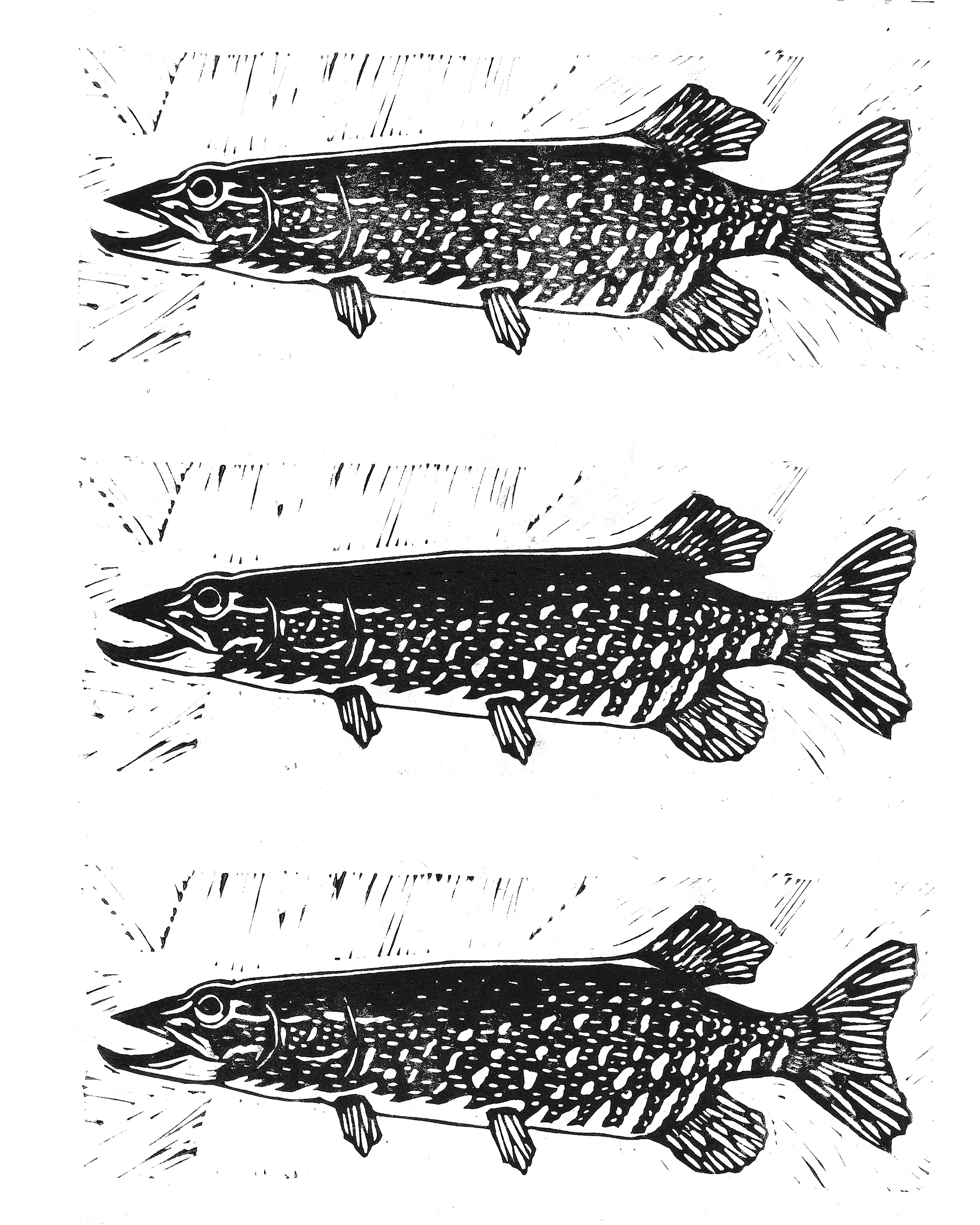 pike3.png