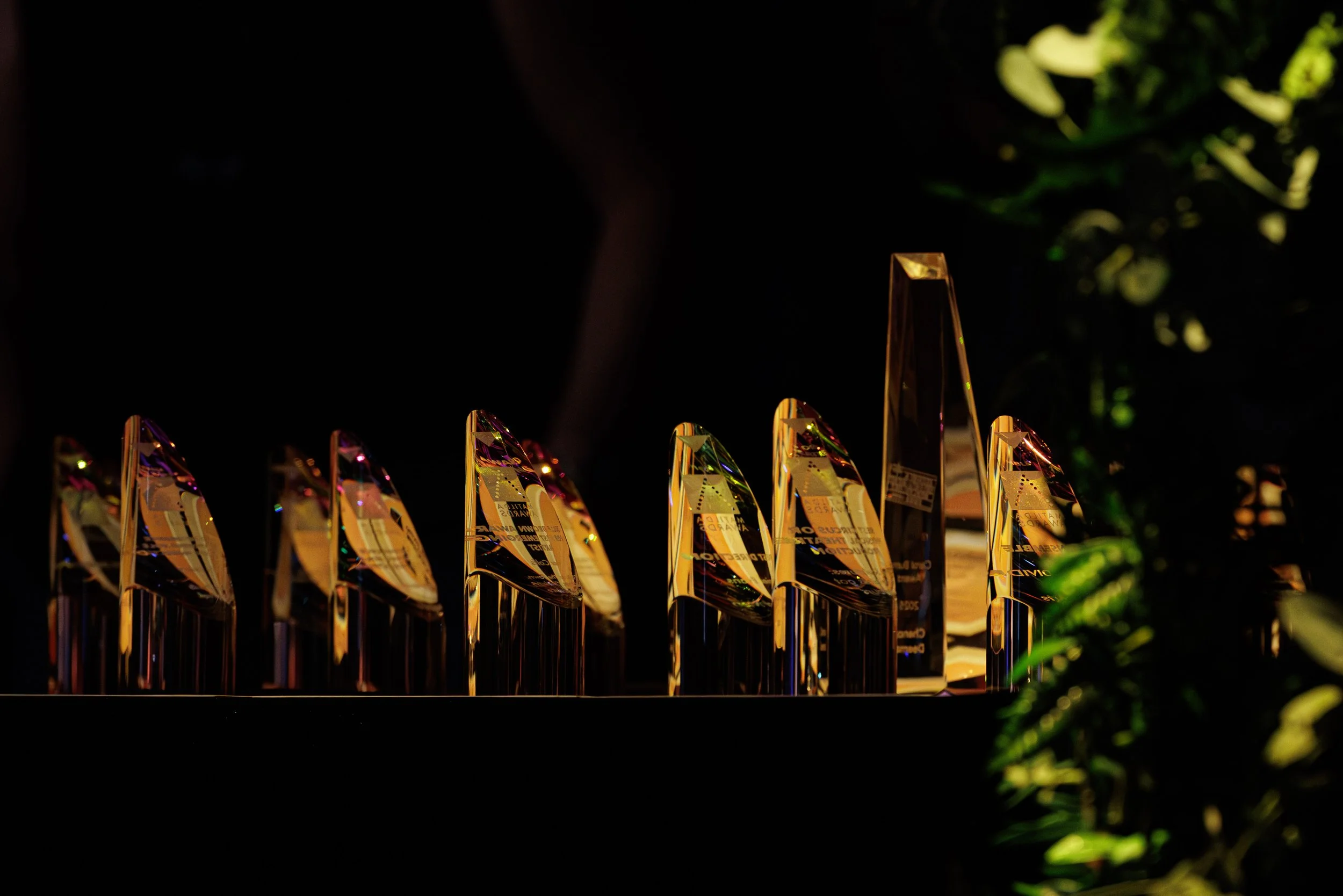 Matilda Awards Announce Expansion with New Awards and Regional Growth