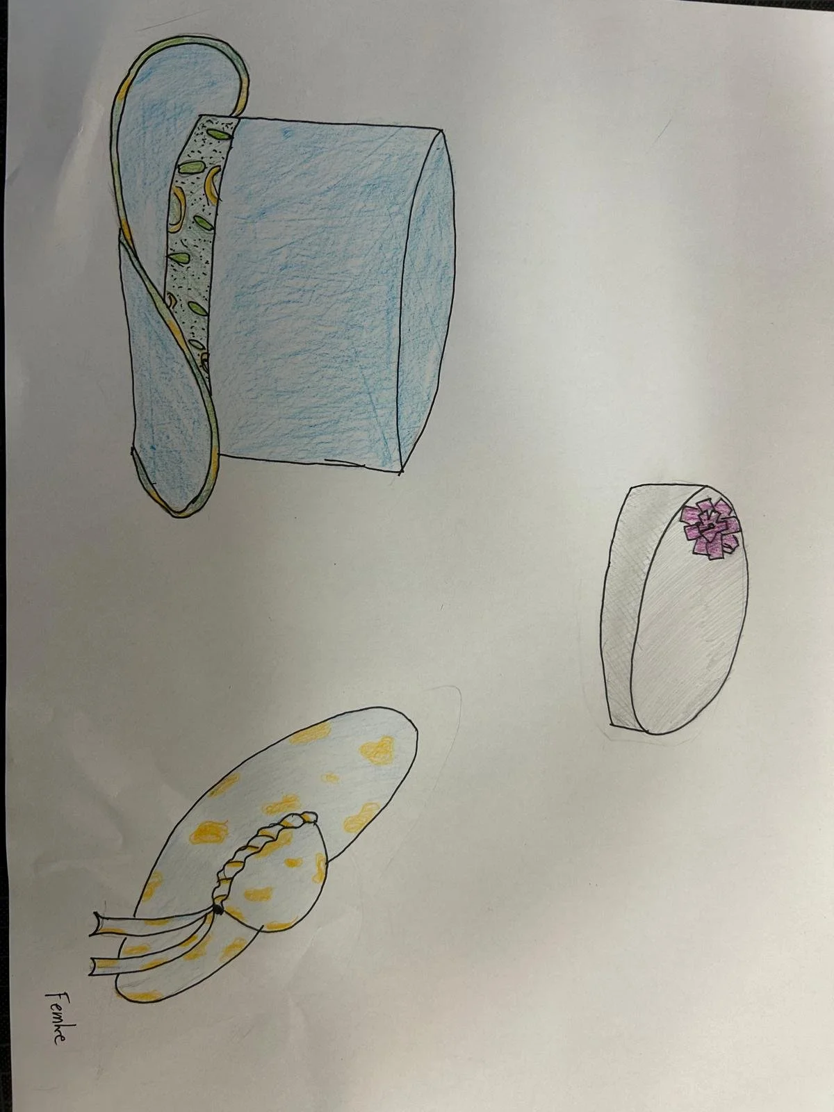 Afbeelding van WhatsApp op 2025-07-03 om 16.11.52_f0bc6644.jpg