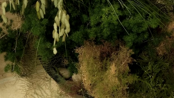 :XI Landschaft Arrangement für CASA VAYU x Opia