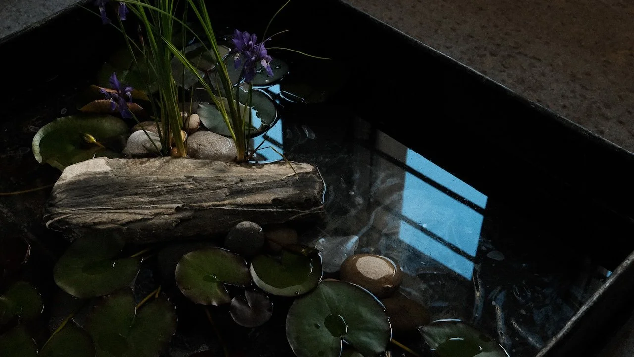 :V Installation für CASA VAYU