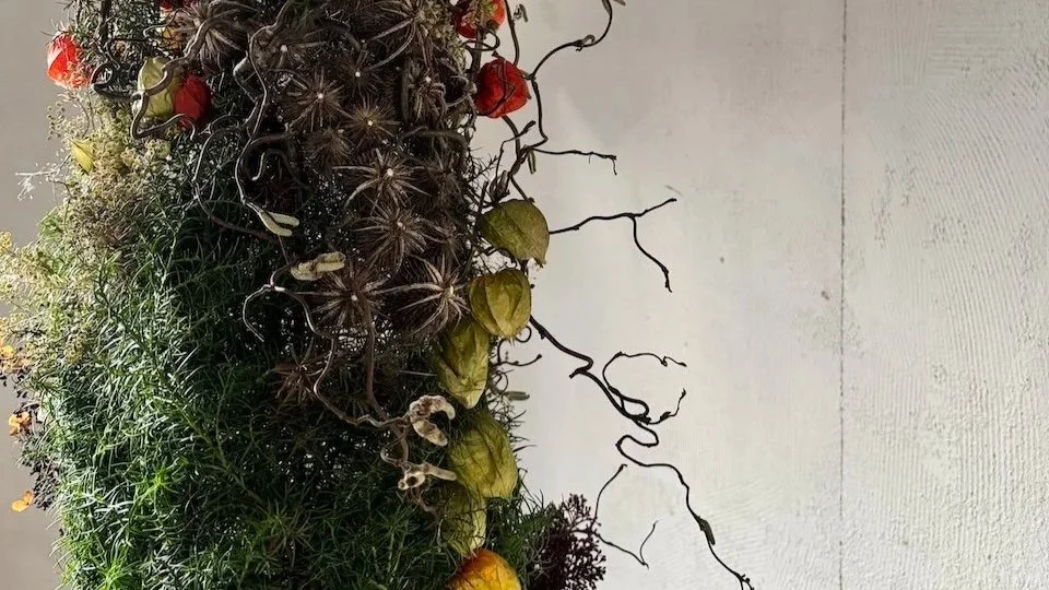 :VI Skulptur für Alpinamed