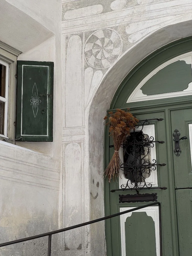 :III Wildkräuter und Cosmosplants