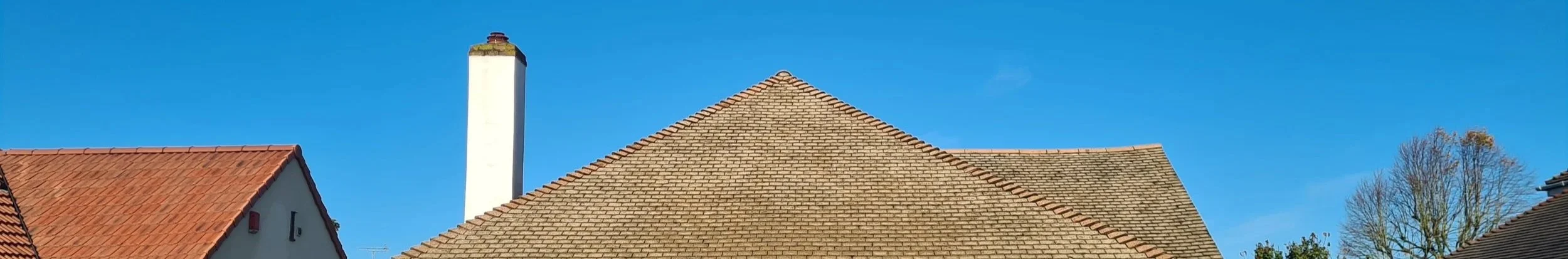 Maple Leaf Exterior Cleaning - Roof Moss Removal