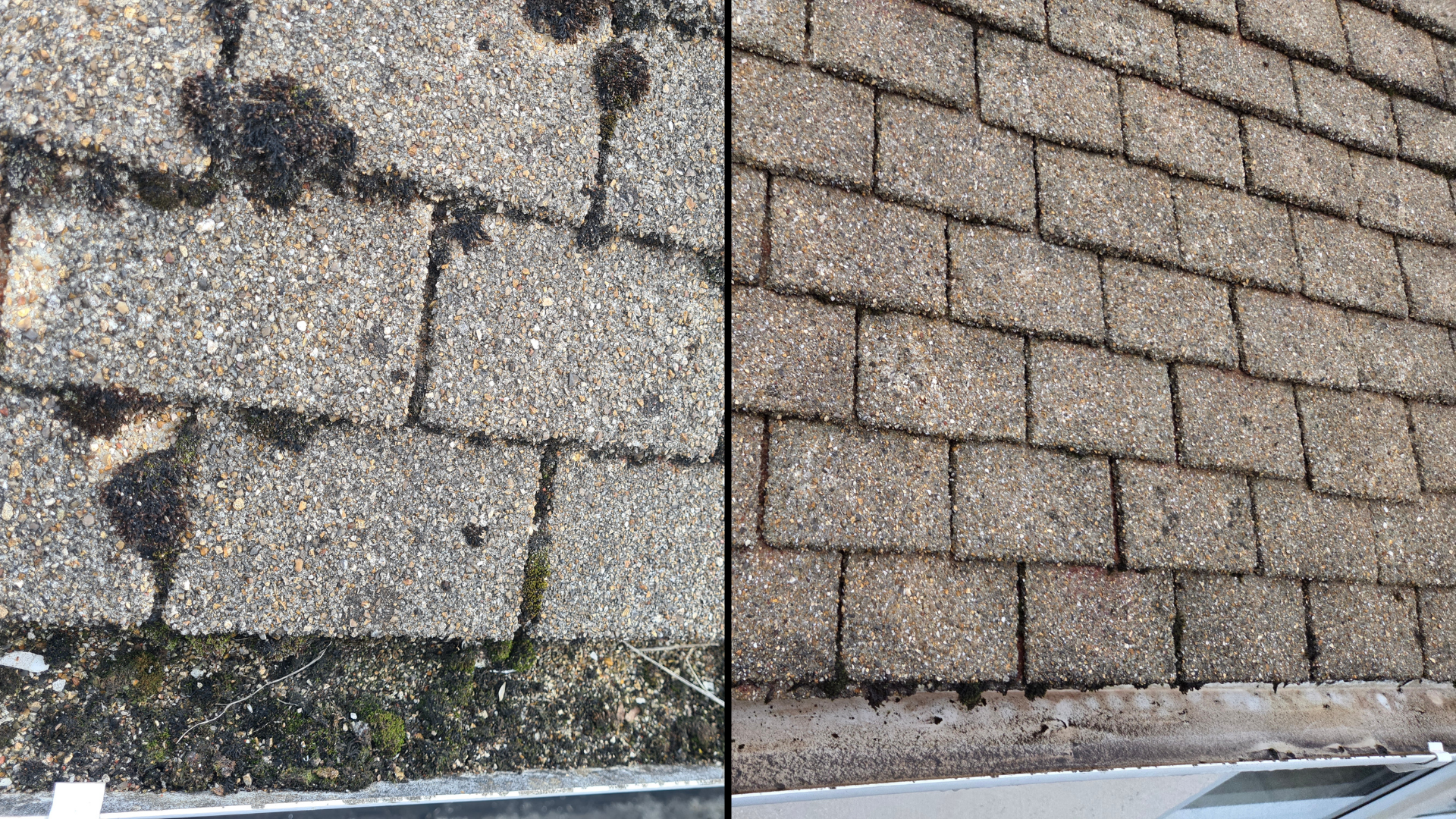 Side by side comparison of roof tiles before and after cleaning.