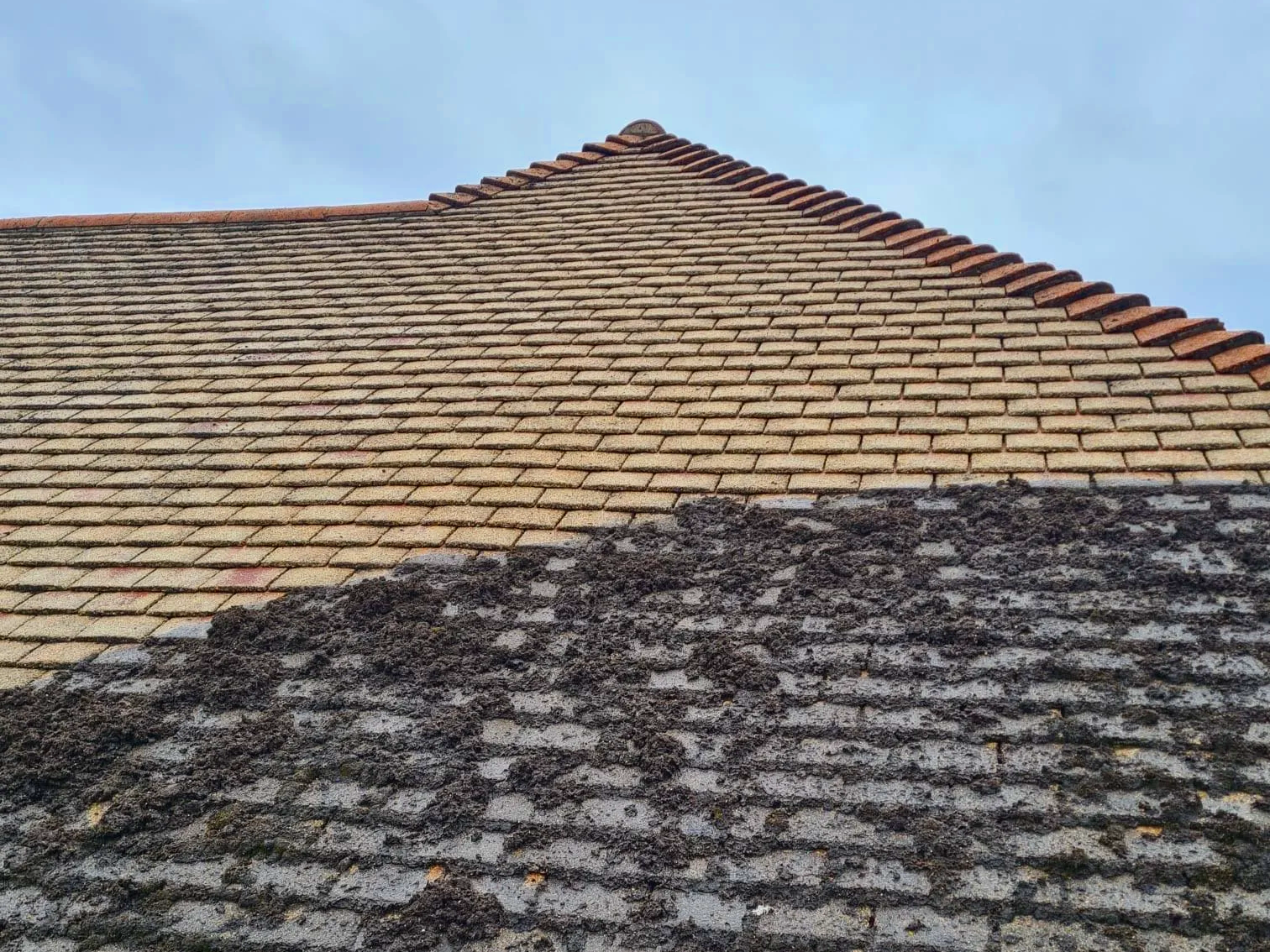 Close-up of a roof in the middle of a pressure wash cleaning, the cleaned tile look lighter, while the dirty ones show jst how mch moss and mould there was.