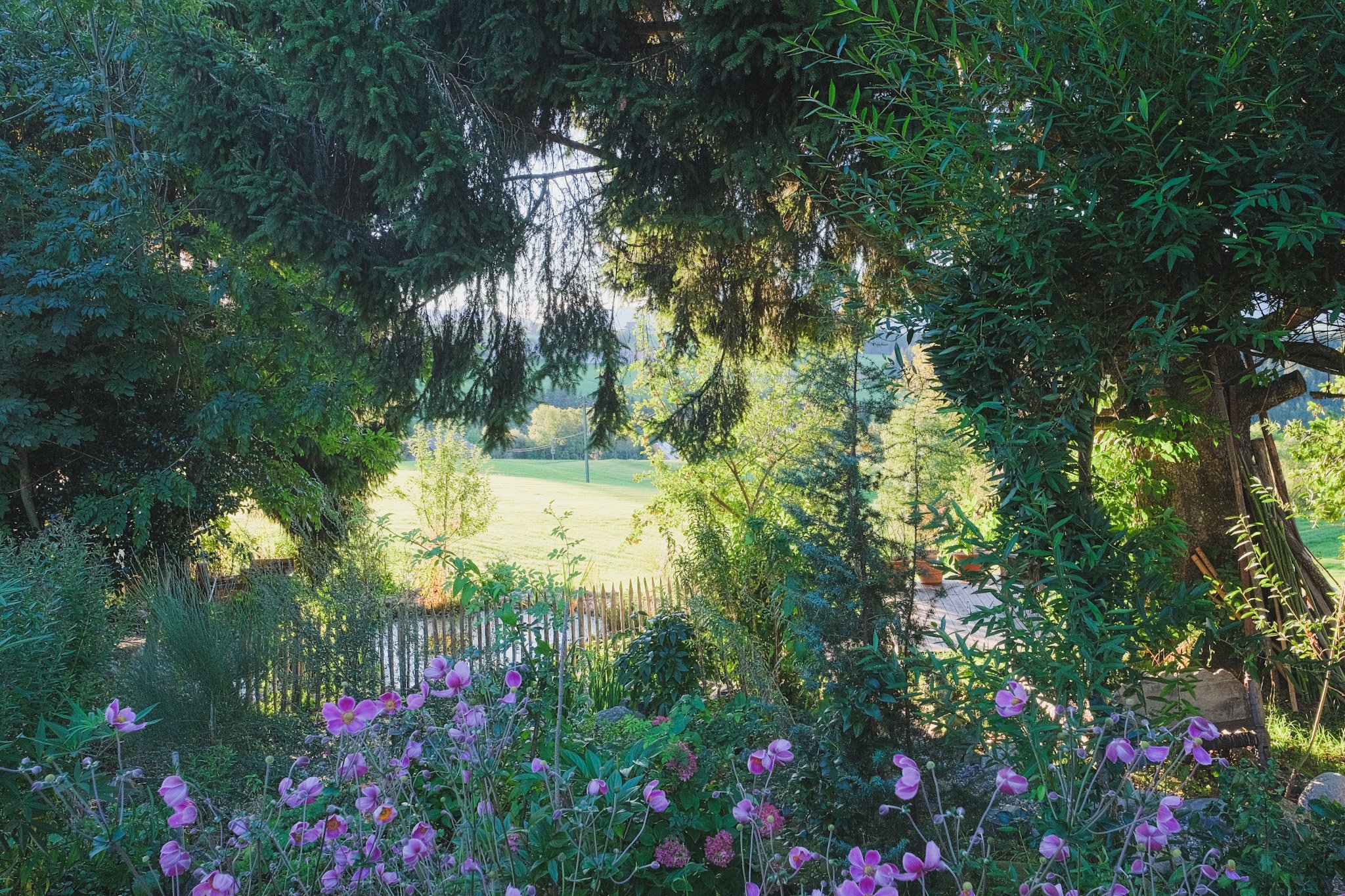 DSCF2179 2.JPG