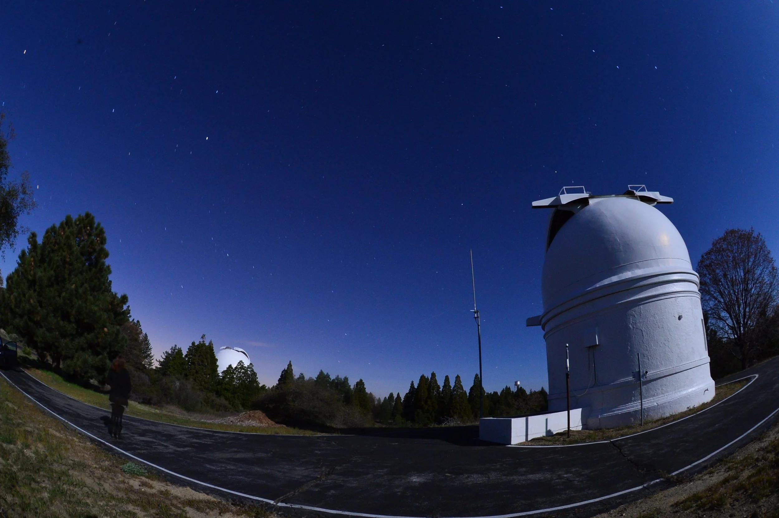 Rebecca Oppenheimer at Palomar.