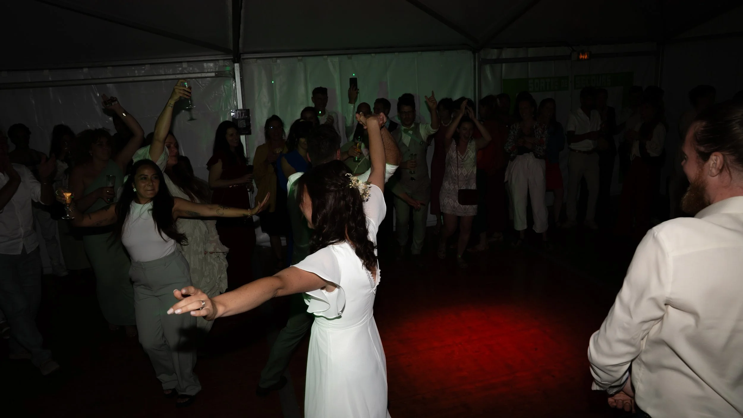 DSC00810.jpg