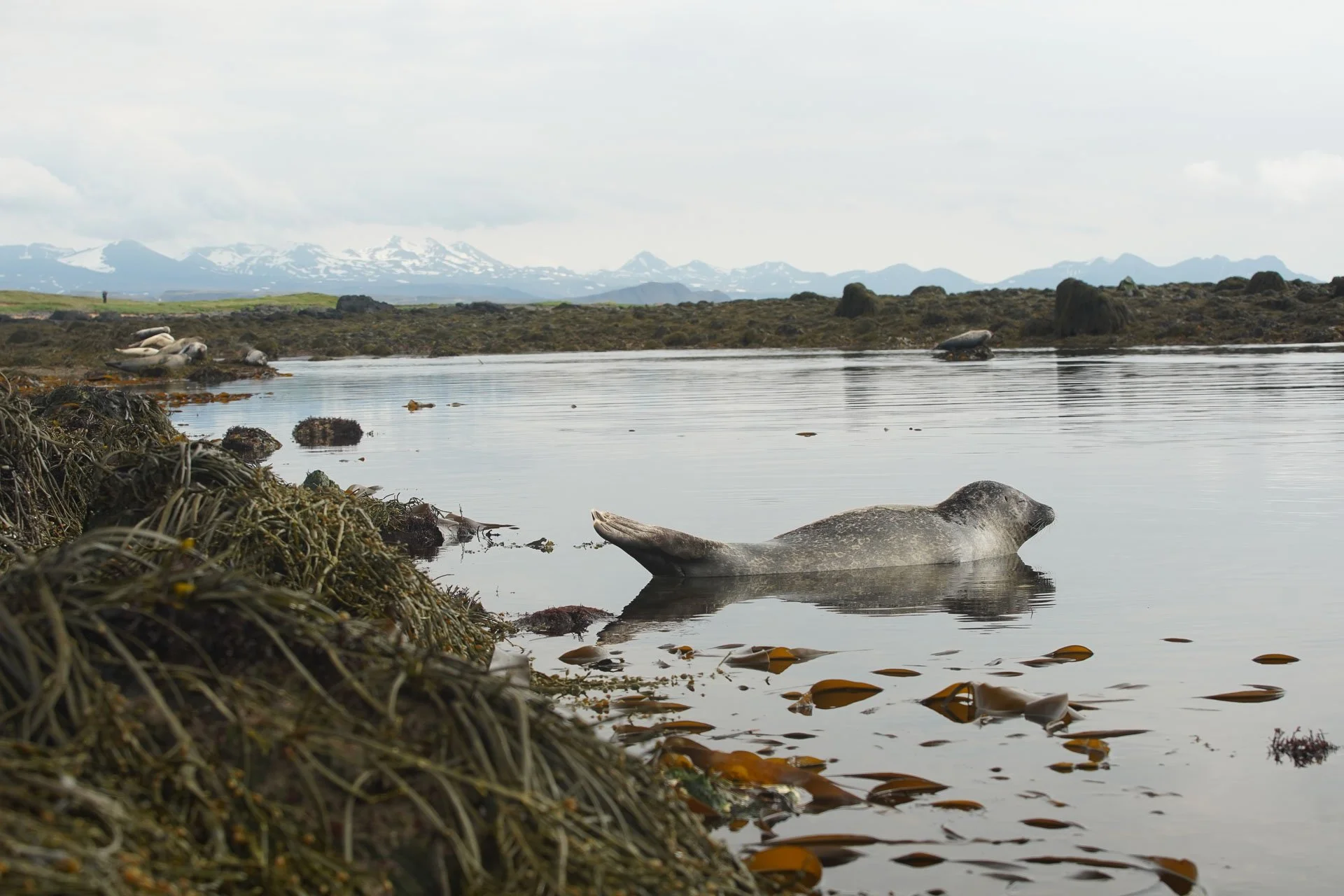 Reportage-Photo-voyage-Islande1.jpg