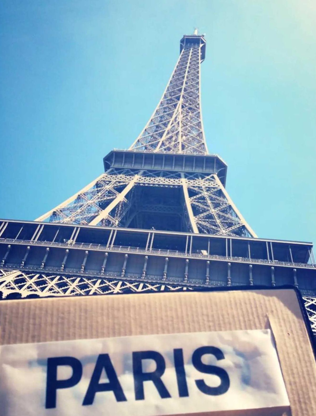 THE SPECIES OF SPACES