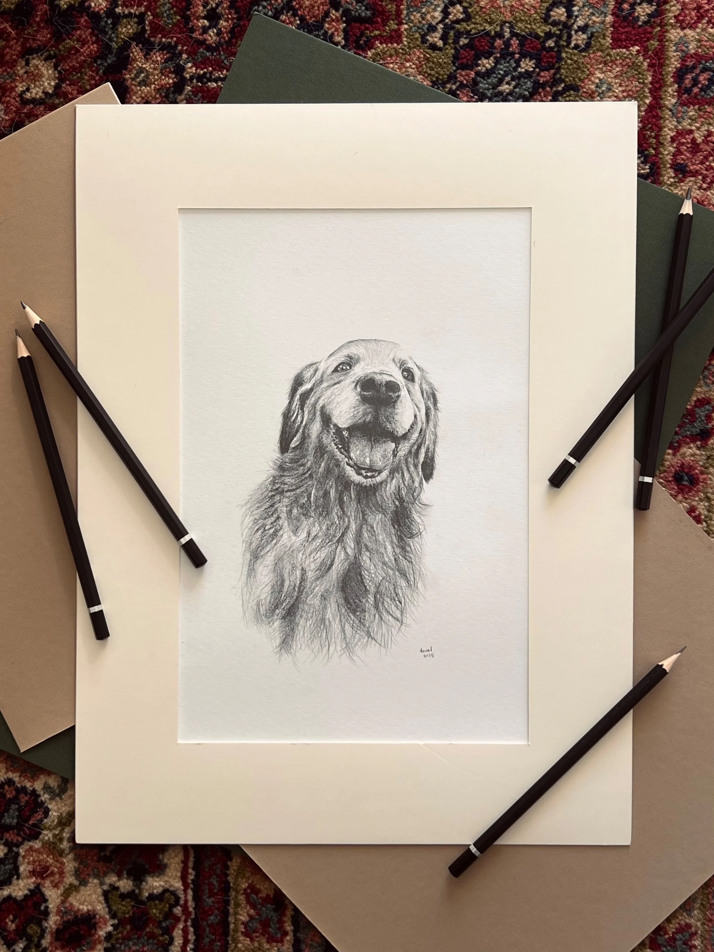 A detailed pencil drawing of a happy, smiling Golden Retriever dog with a textured fur coat, presented on white paper with colored papers and four black pencils arranged around it.