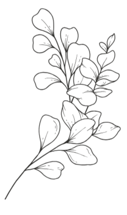 Kuvituskuva, kukka viivapiirroksena.