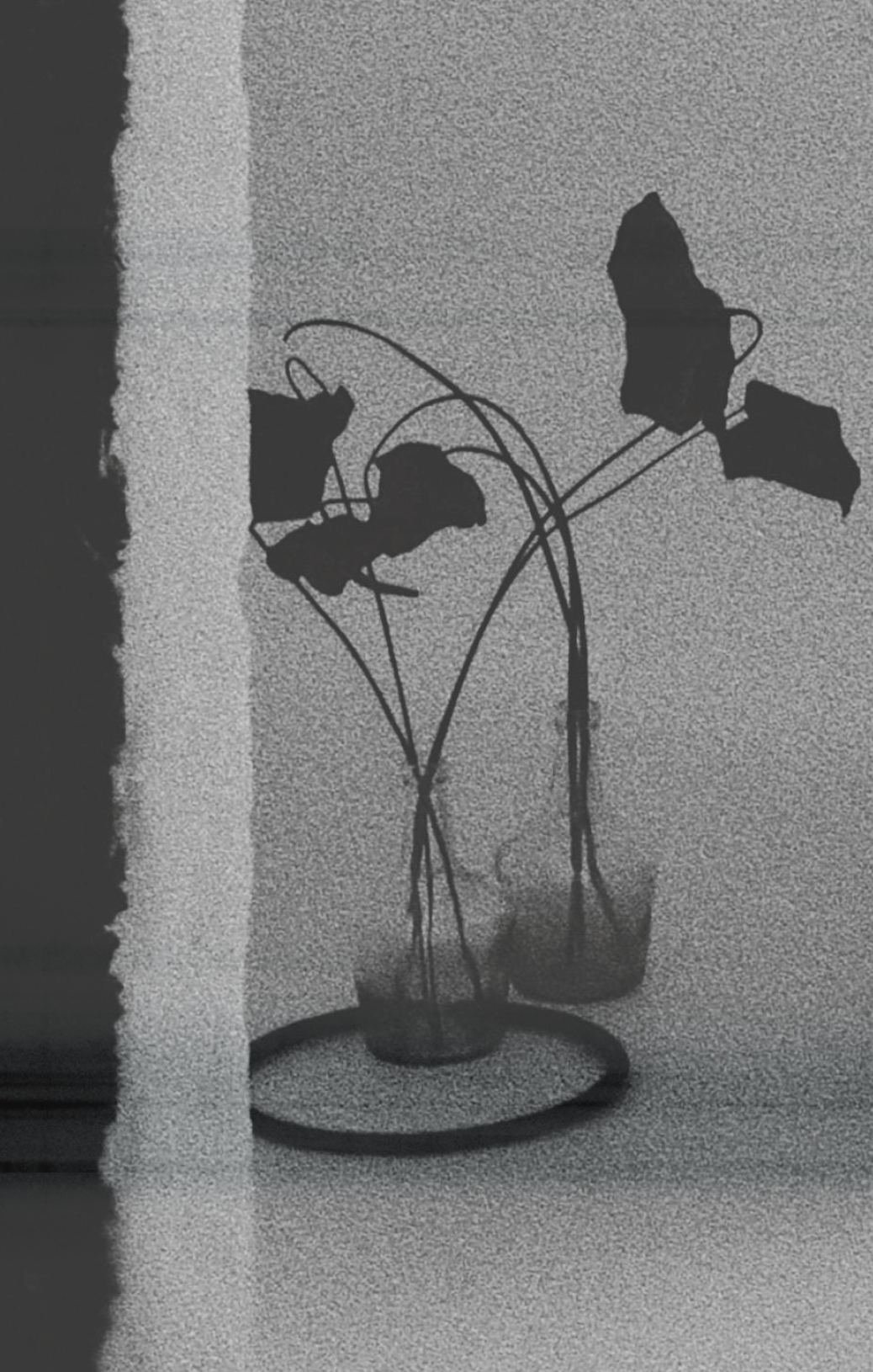 Screenshot 2025-09-09 at 11.46.32.png