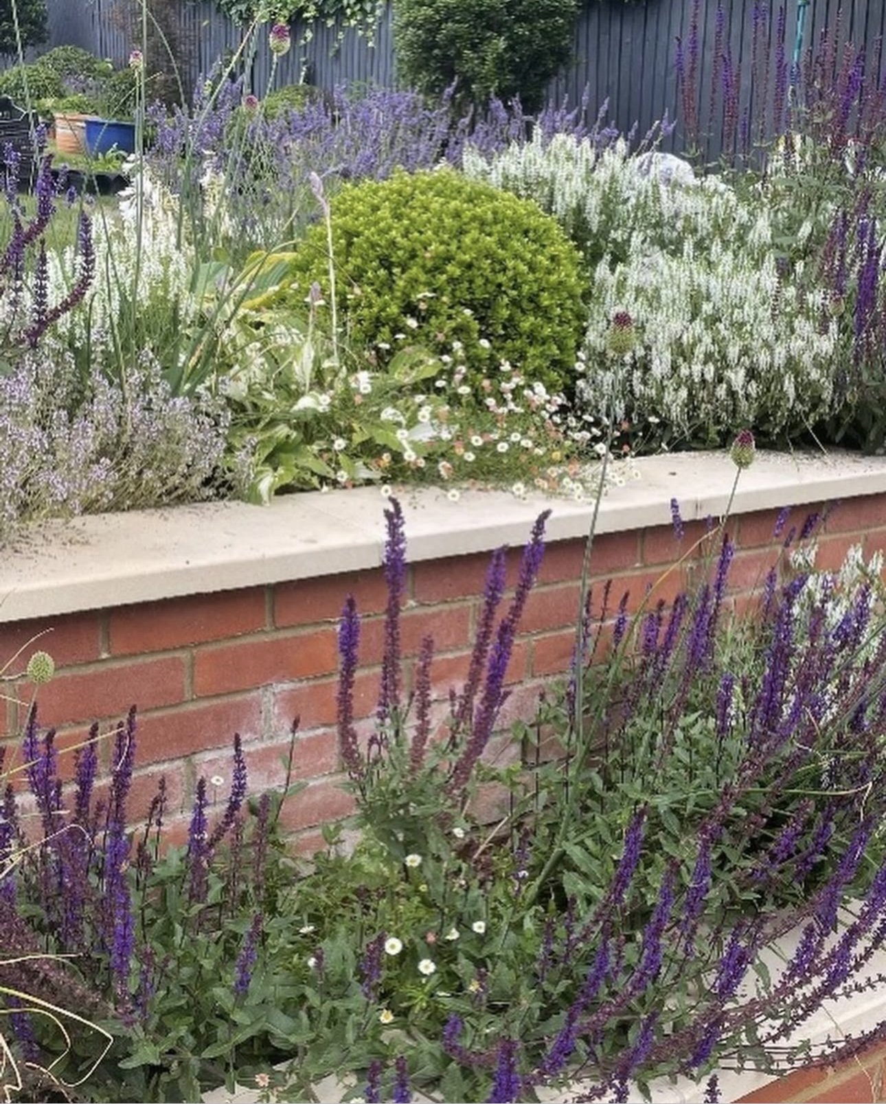 Planting scheme,Harpenden