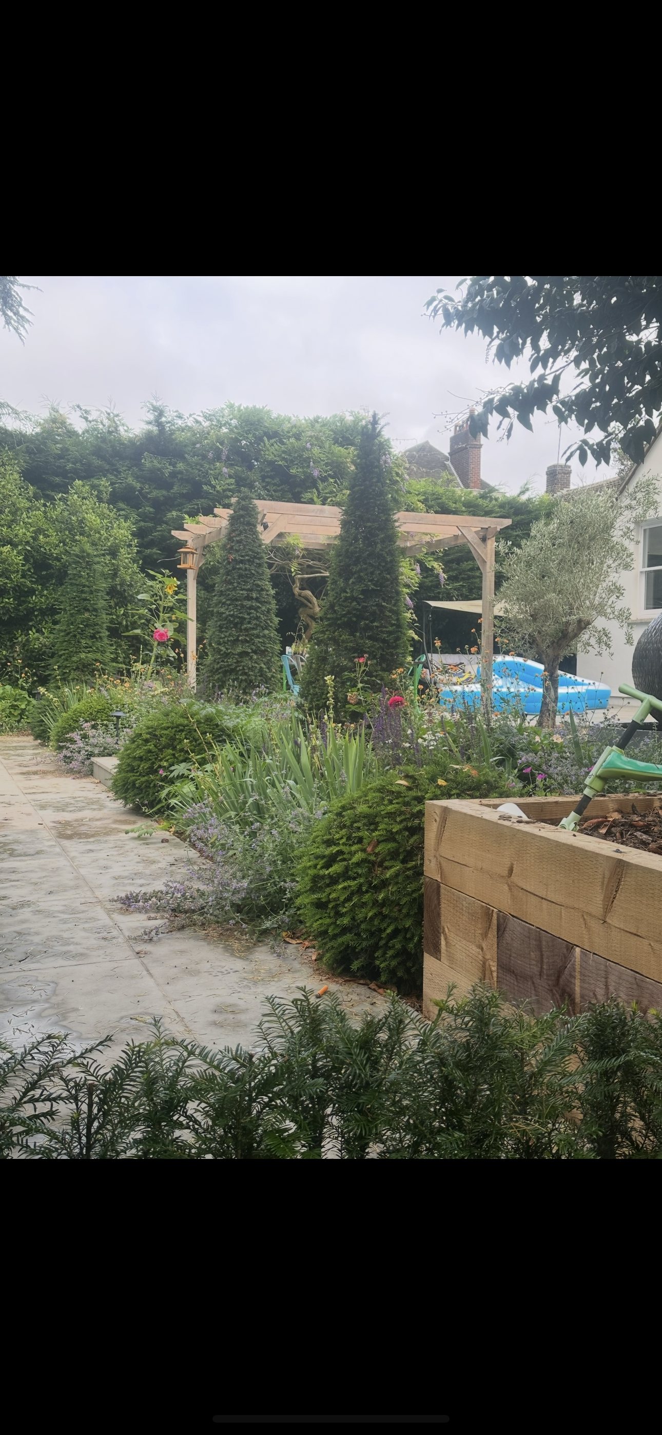 Modern Cottage Garden, Harpenden