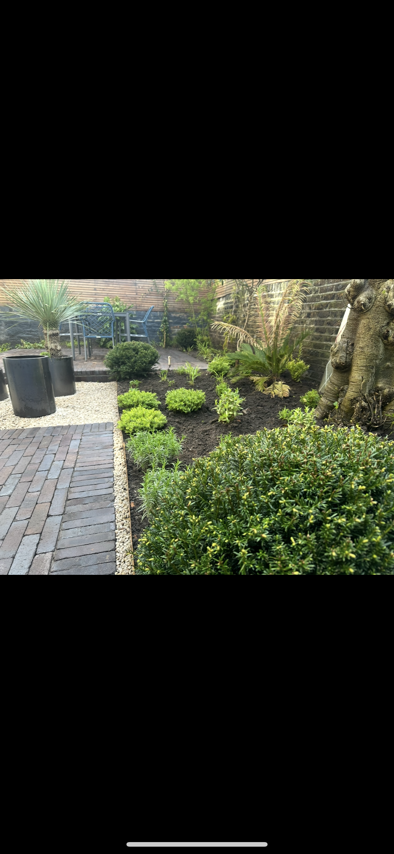 Islington Modern Garden