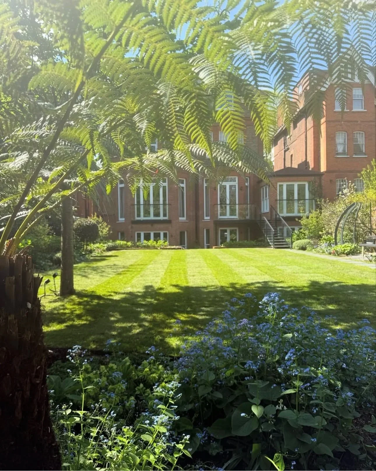 Contemporary garden, Belsize Park
