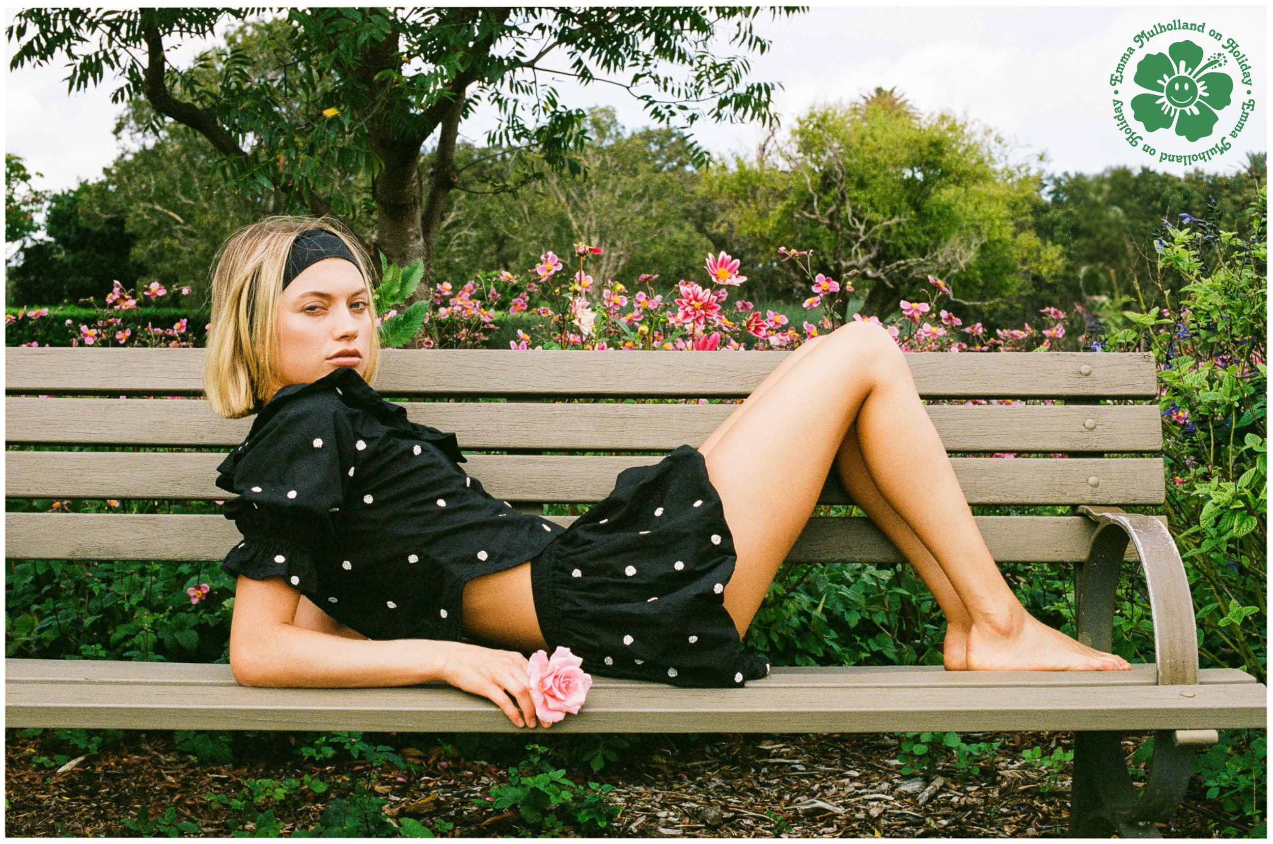 Untitled design (1).png