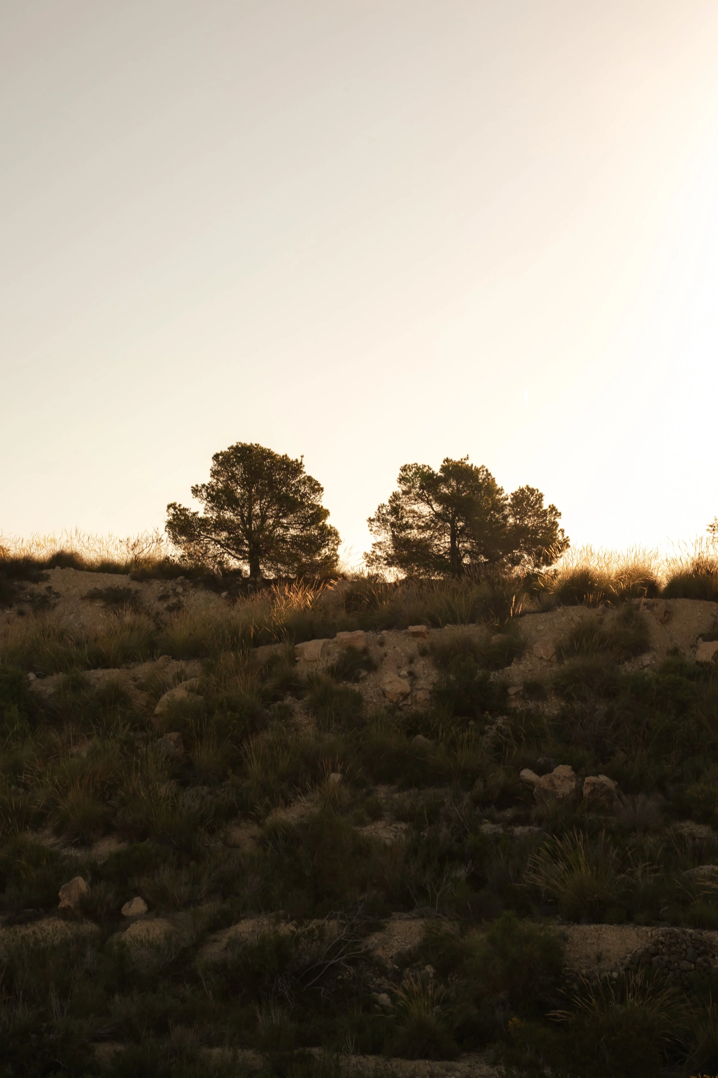 1:1 Breathwork Journey