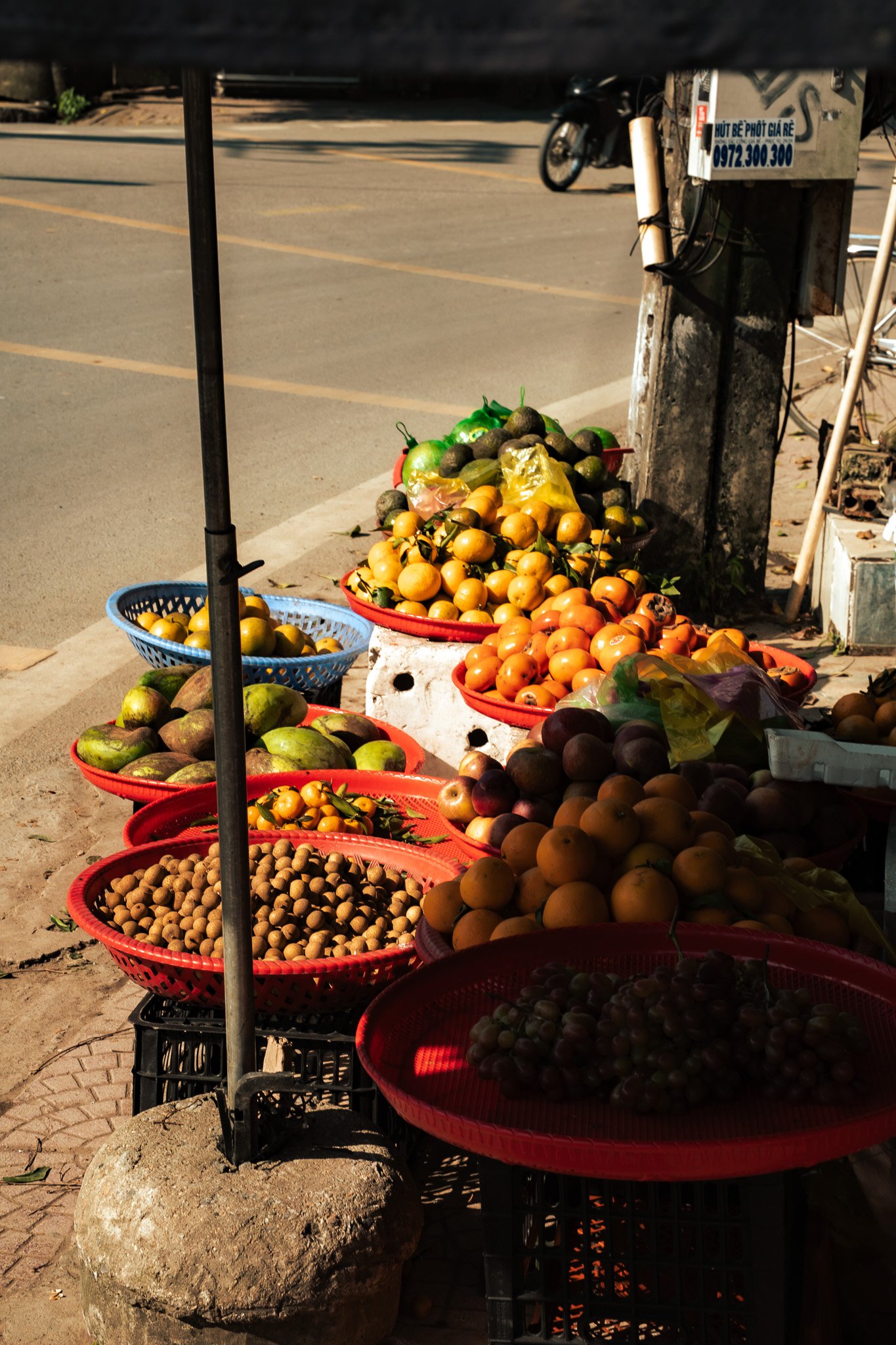 DSC03501-2.jpg
