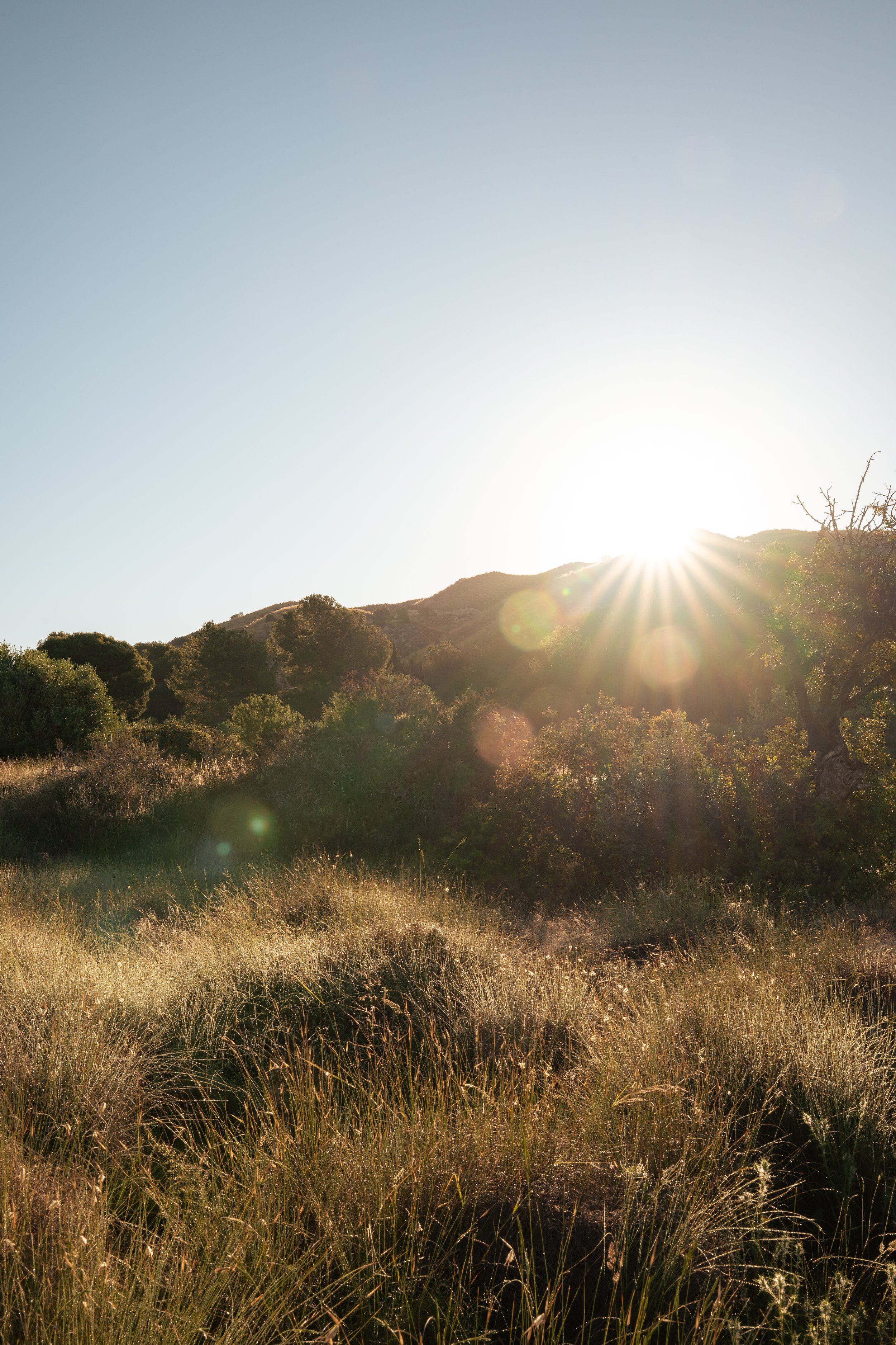 1:1 Breathwork Journey Package (3x)