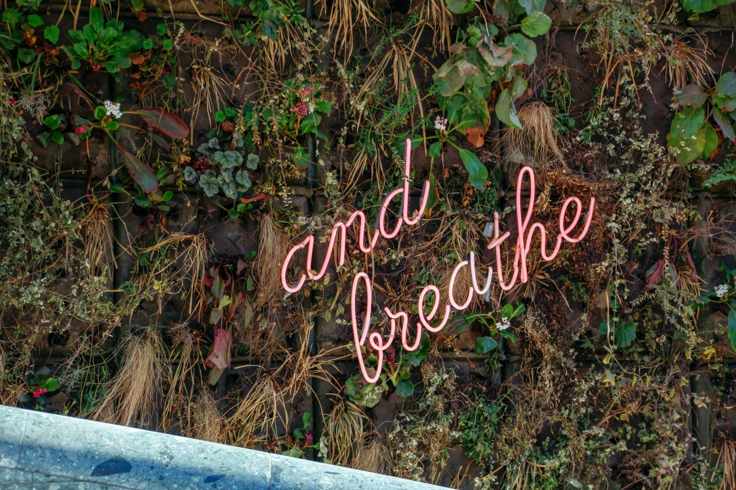 Breathwork & Emotions