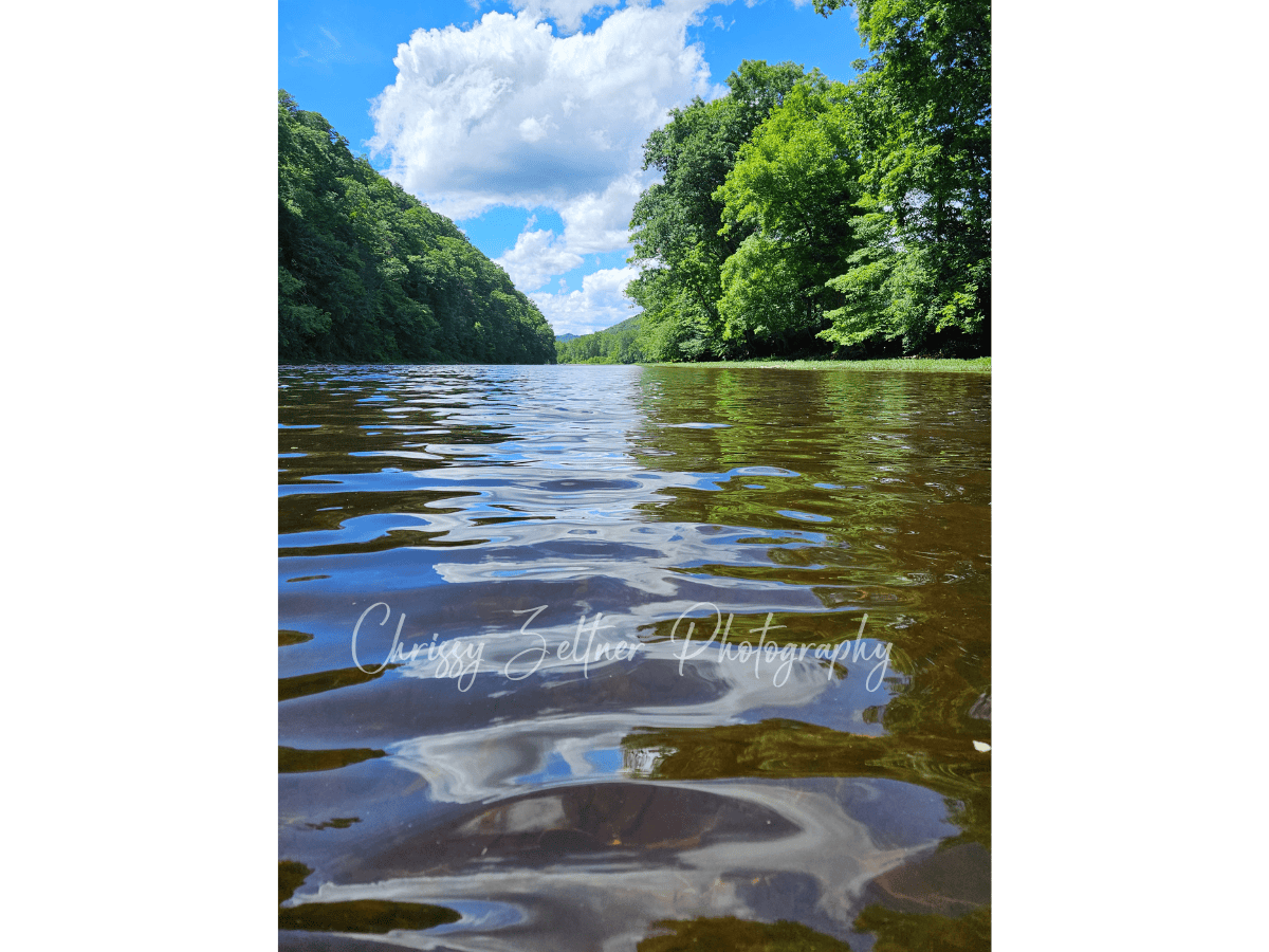 chrissy-zeltner-photography-7.png