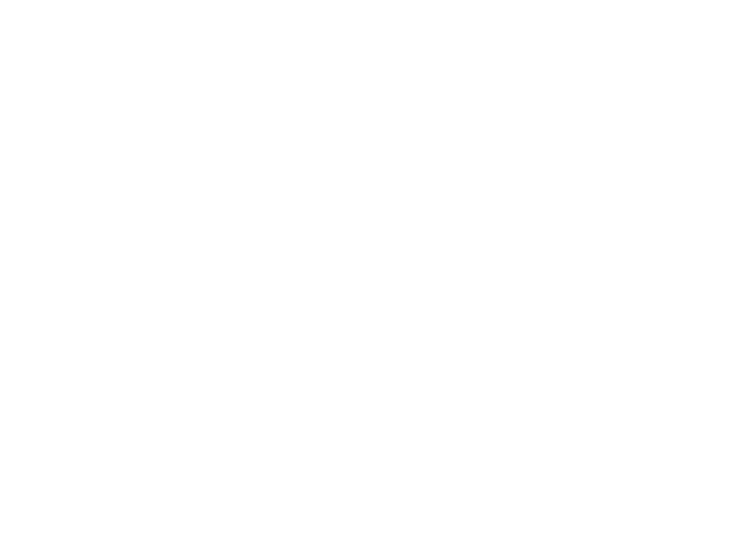 Vibrant Visuals Media