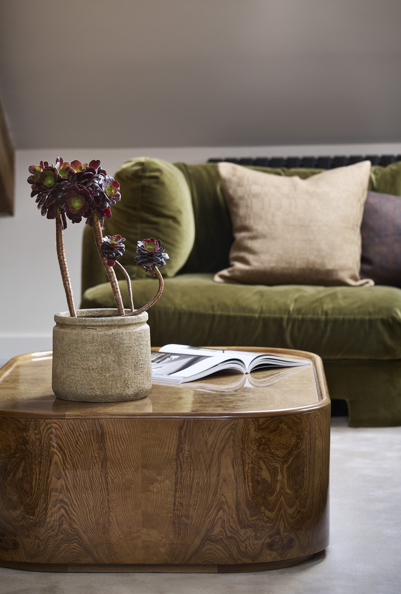 A living room with a green velvet sofa with beige and dark-patterned pillows, a wooden coffee table with a open book, and a black pot with a succulent plant.