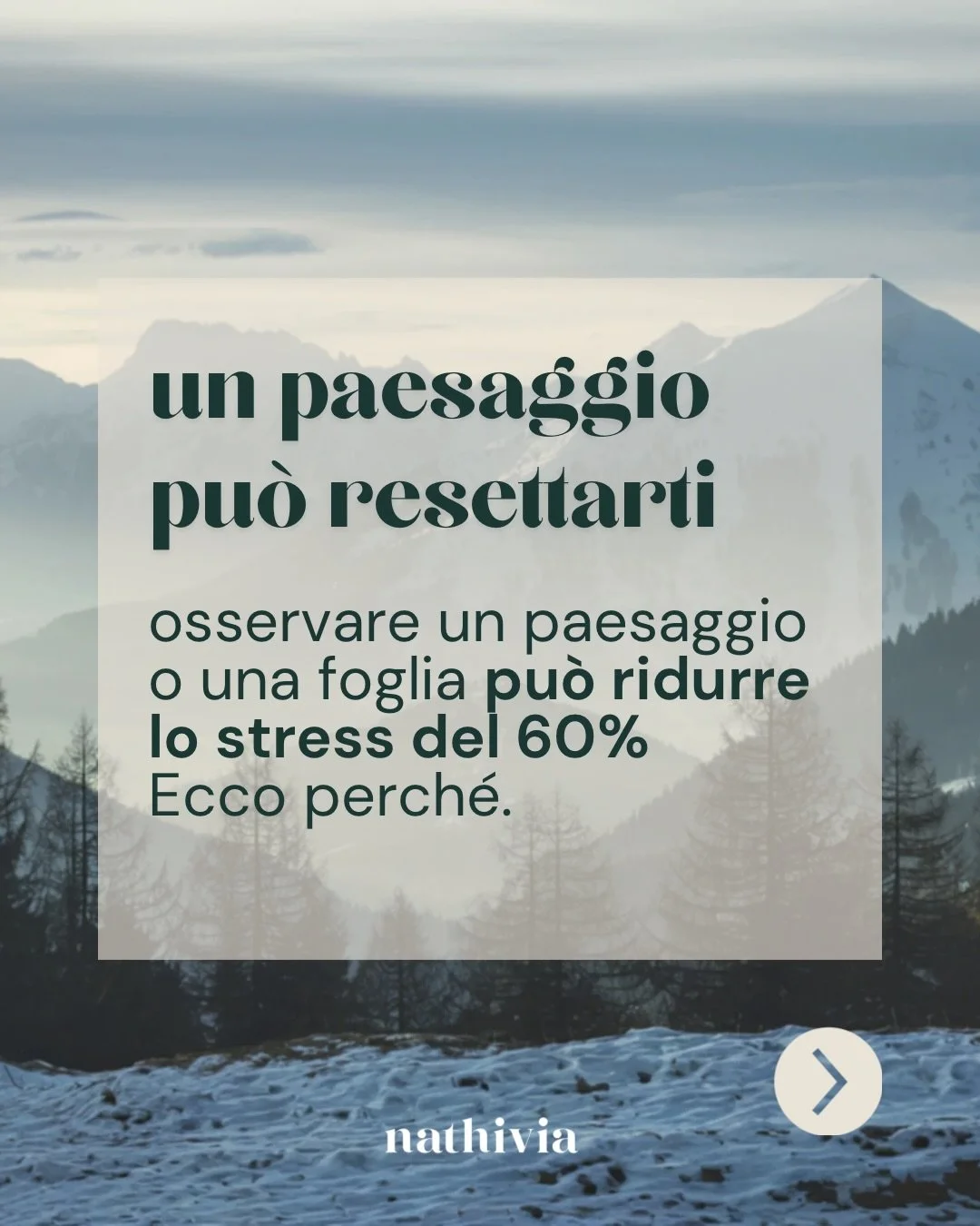Il nostro cervello &egrave; programmato per leggere i pattern della Natura, in essi trova conforto e si rigenera.

Basta introdurre piccole abitudini per vivere meglio: osservare le nuvole, accarezzare un tavolo di legno, curare una pianta.

Prenditi