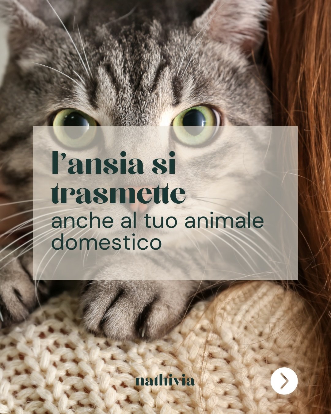 Il retreat &ldquo;Radici Animali&rdquo; &egrave; pensato per aiutarti a diventare pi&ugrave; consapevole dei tuoi bisogni e delle dinamiche che ci coinvolgono.
Grazie all&rsquo;aiuto del mondo animale andremo alla scoperta della nostra vera Natura.

