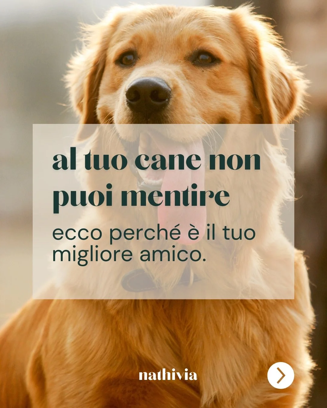 🐾 Se desideri lavorare sulla tua consapevolezza e sulla tua Coerenza Emotiva, hai molto da imparare dagli animali. Questo &eacute; uno dei temi cardine che affronteremo insieme nel ritiro di Zooantropologia e Relazioni &ldquo;Radici Animali&rdquo;. 