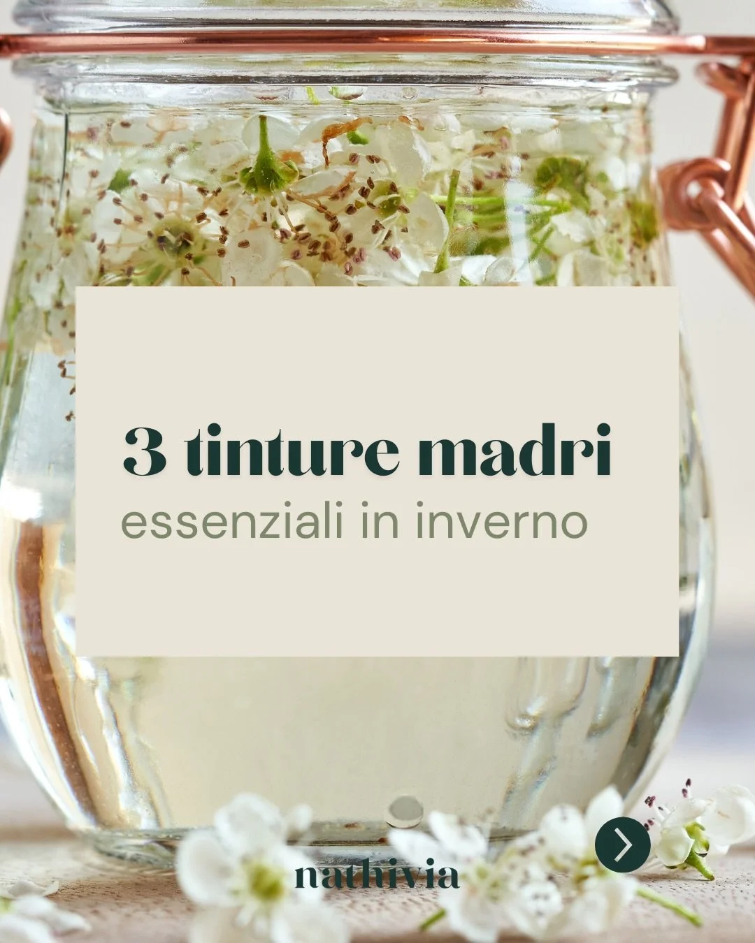Prendersi cura del proprio benessere attraverso l&rsquo;autoproduzione &egrave; una grande possibilit&agrave;.
@fitocomplessa ci guida alla scoperta delle@tinture madri alleate per l&rsquo;inverno.

🌱 Se desideri approfondire queste conoscenze ed en