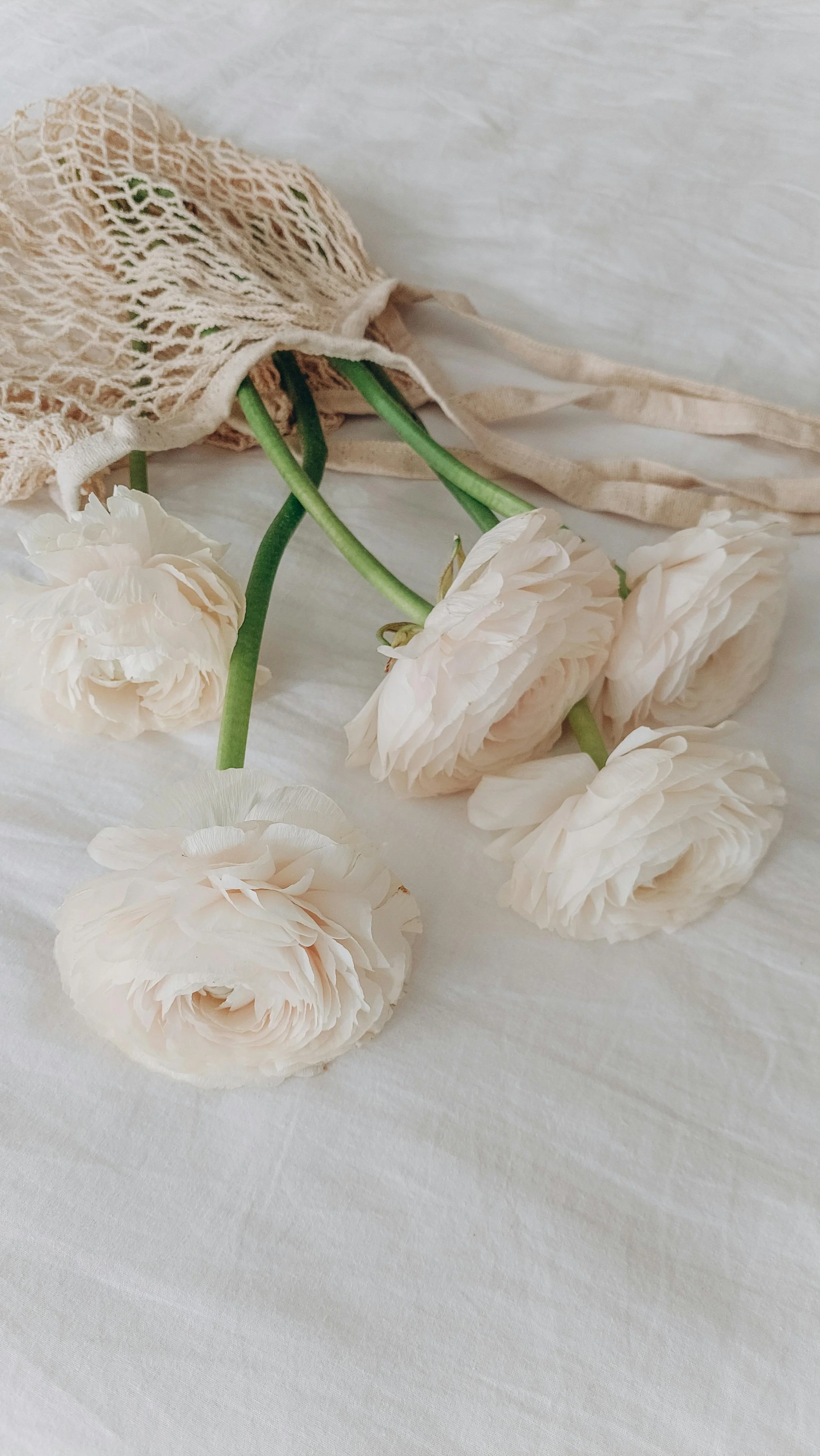 Fiori di ranuncolo bianchi in una rete di tessuto naturale, appoggiati su un tessuto bianco.